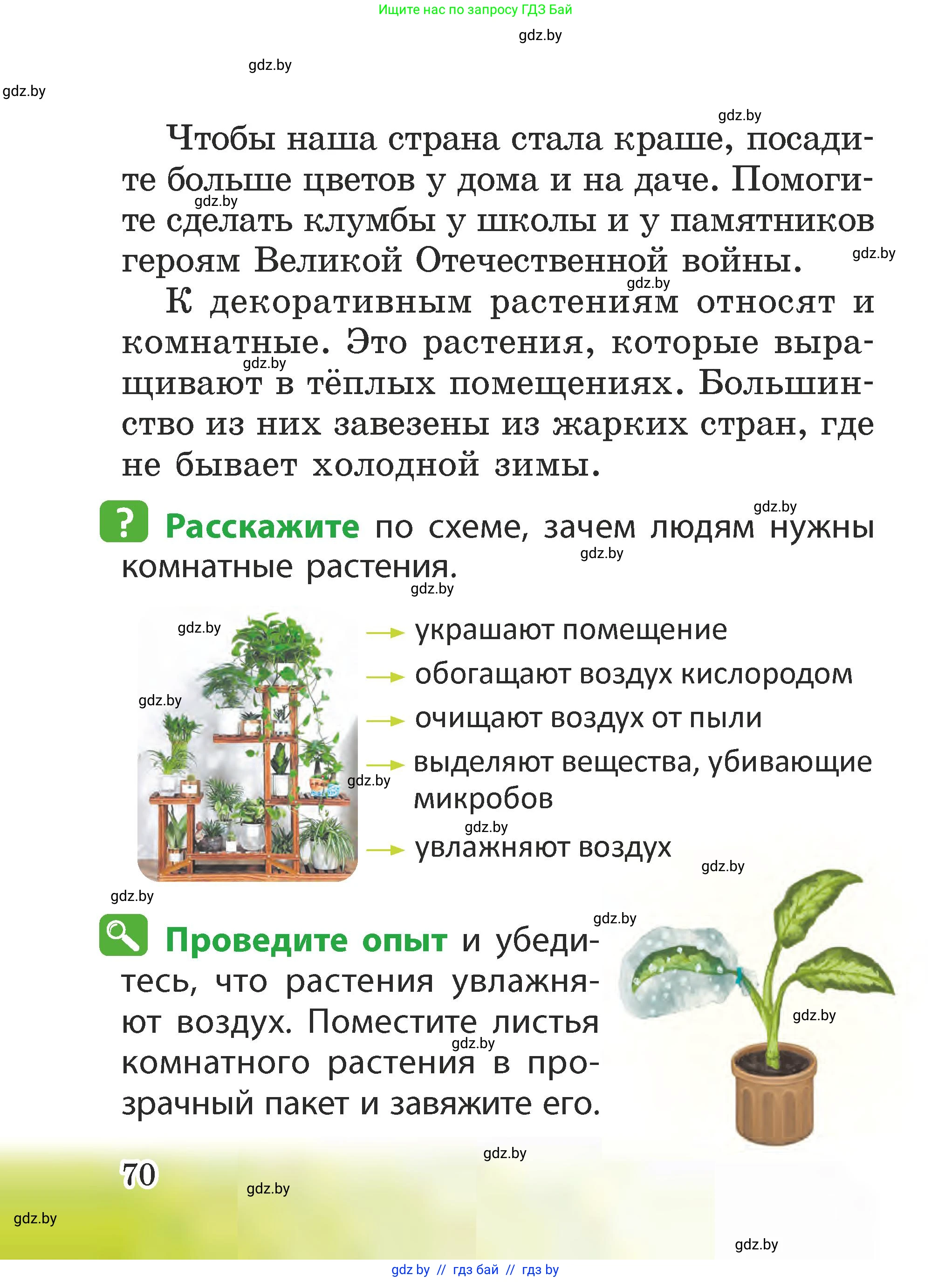 Человек и мир, 2 класс Учебник, авторы: Трафимова Галина Владимировна, Трафимов Сергей Анатольевич, издательство Академия образования, Минск, 2024, страница 70