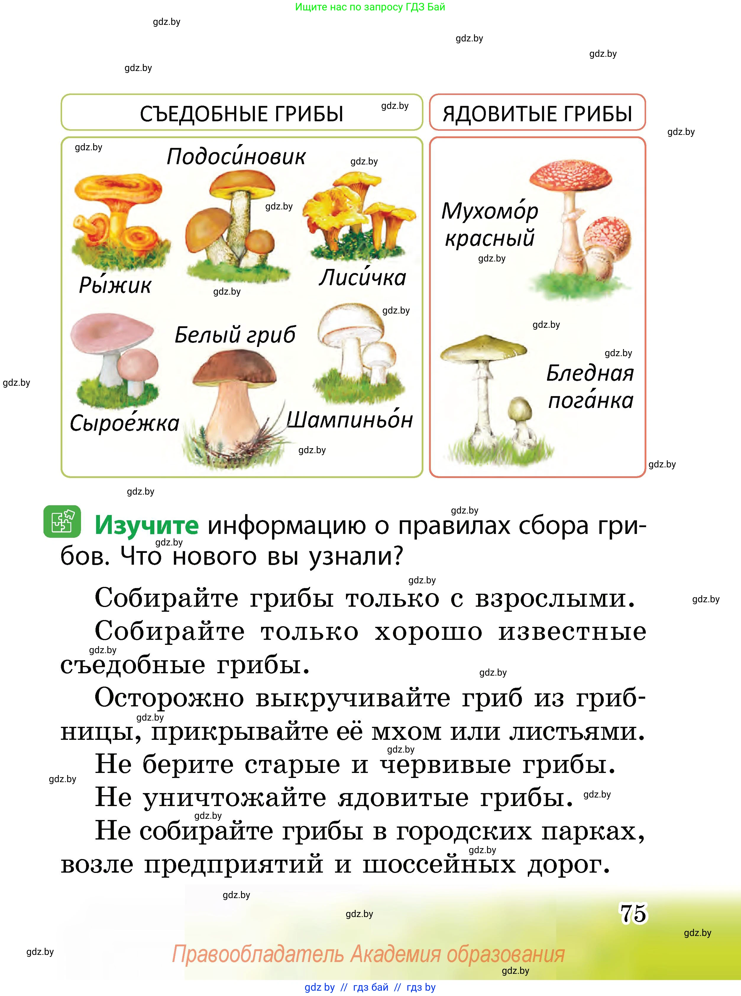 Человек и мир, 2 класс Учебник, авторы: Трафимова Галина Владимировна, Трафимов Сергей Анатольевич, издательство Академия образования, Минск, 2024, страница 75