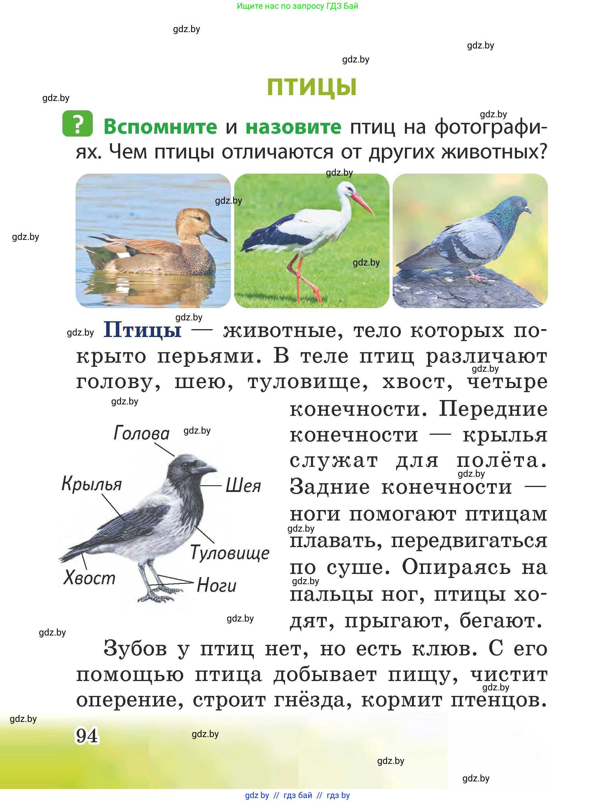 Человек и мир, 2 класс Учебник, авторы: Трафимова Галина Владимировна, Трафимов Сергей Анатольевич, издательство Академия образования, Минск, 2024, страница 94