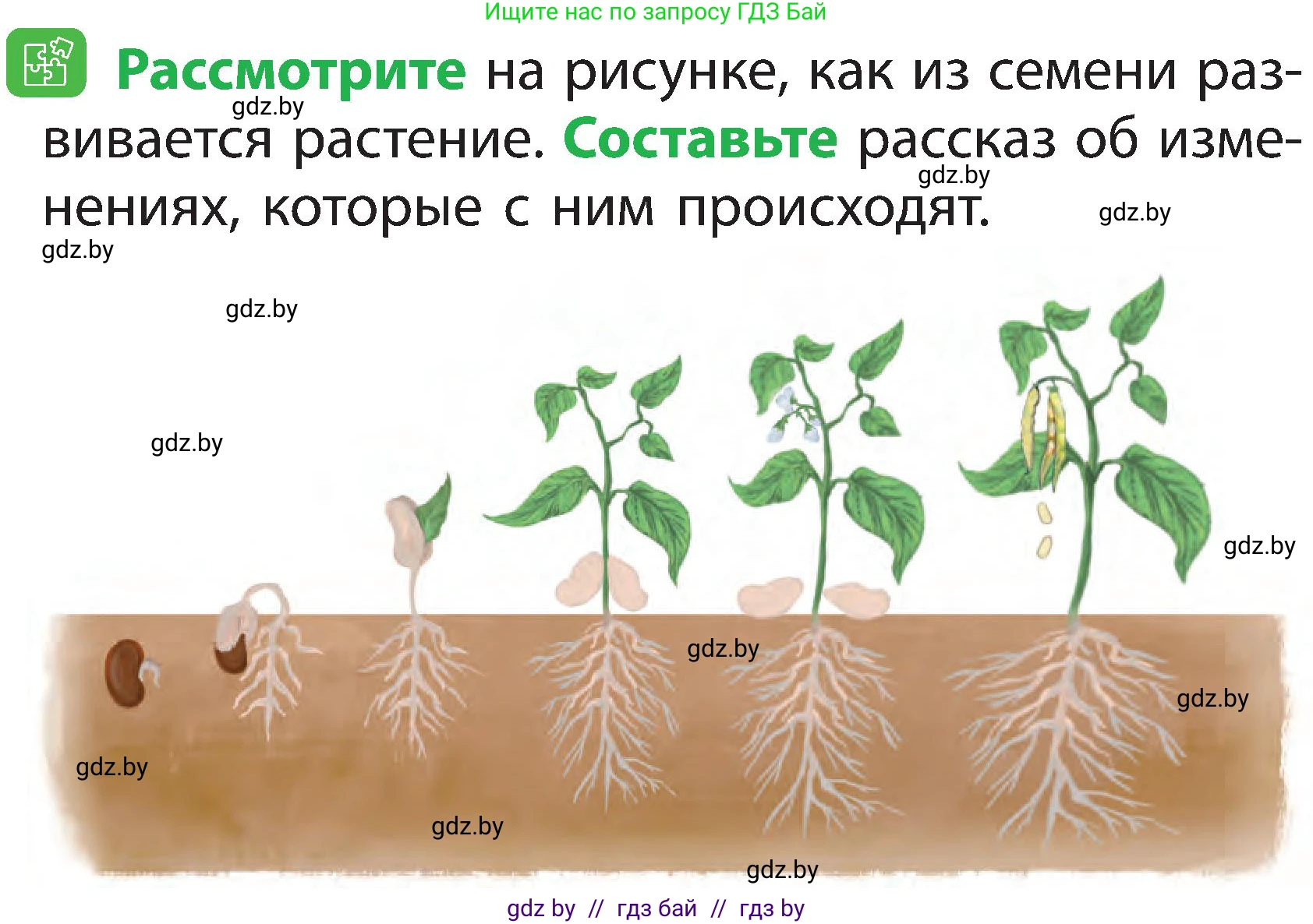 Человек и мир, 2 класс Учебник, авторы: Трафимова Галина Владимировна, Трафимов Сергей Анатольевич, издательство Академия образования, Минск, 2024, страница 43, номер 5, Условие