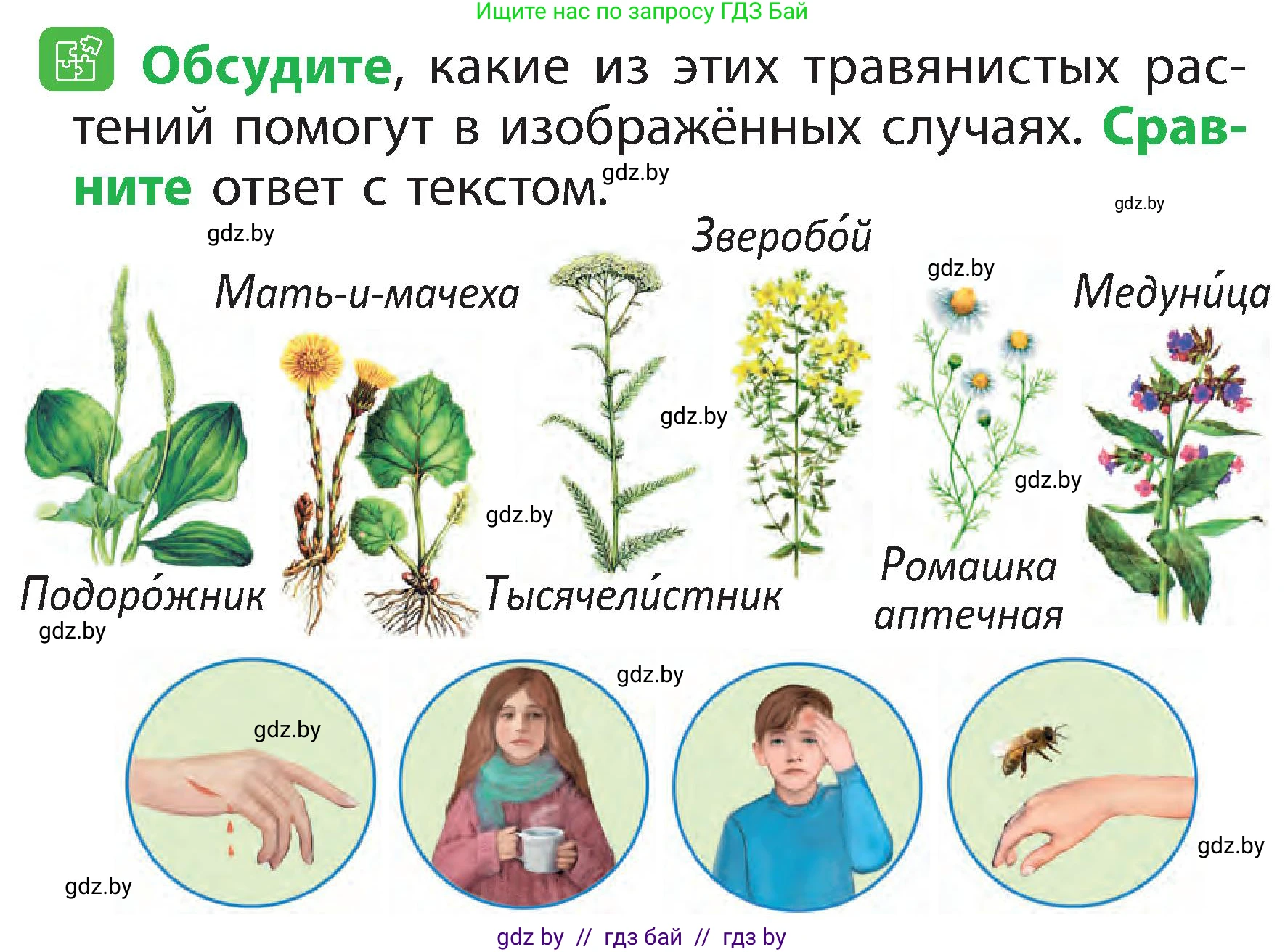 Человек и мир, 2 класс Учебник, авторы: Трафимова Галина Владимировна, Трафимов Сергей Анатольевич, издательство Академия образования, Минск, 2024, страница 54, номер 3, Условие