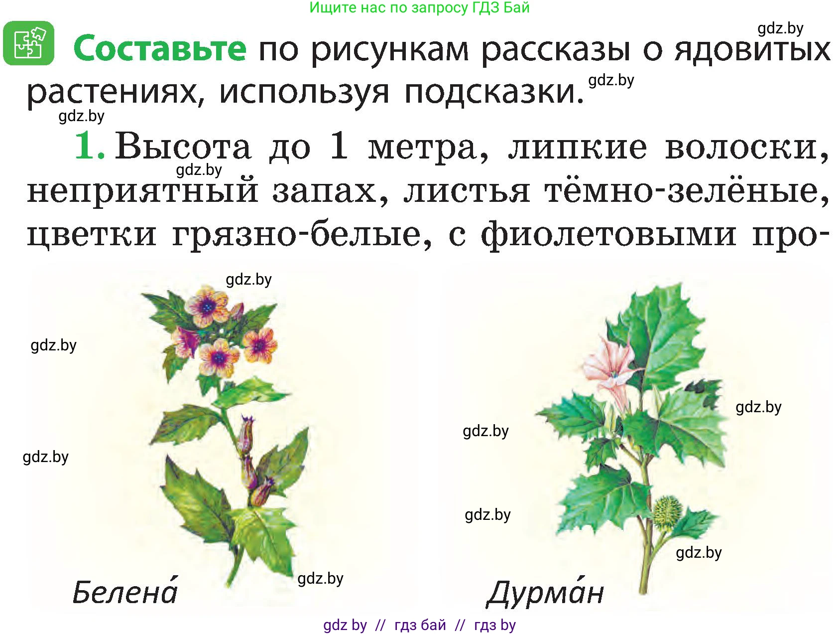 Человек и мир, 2 класс Учебник, авторы: Трафимова Галина Владимировна, Трафимов Сергей Анатольевич, издательство Академия образования, Минск, 2024, страница 56, номер 2, Условие