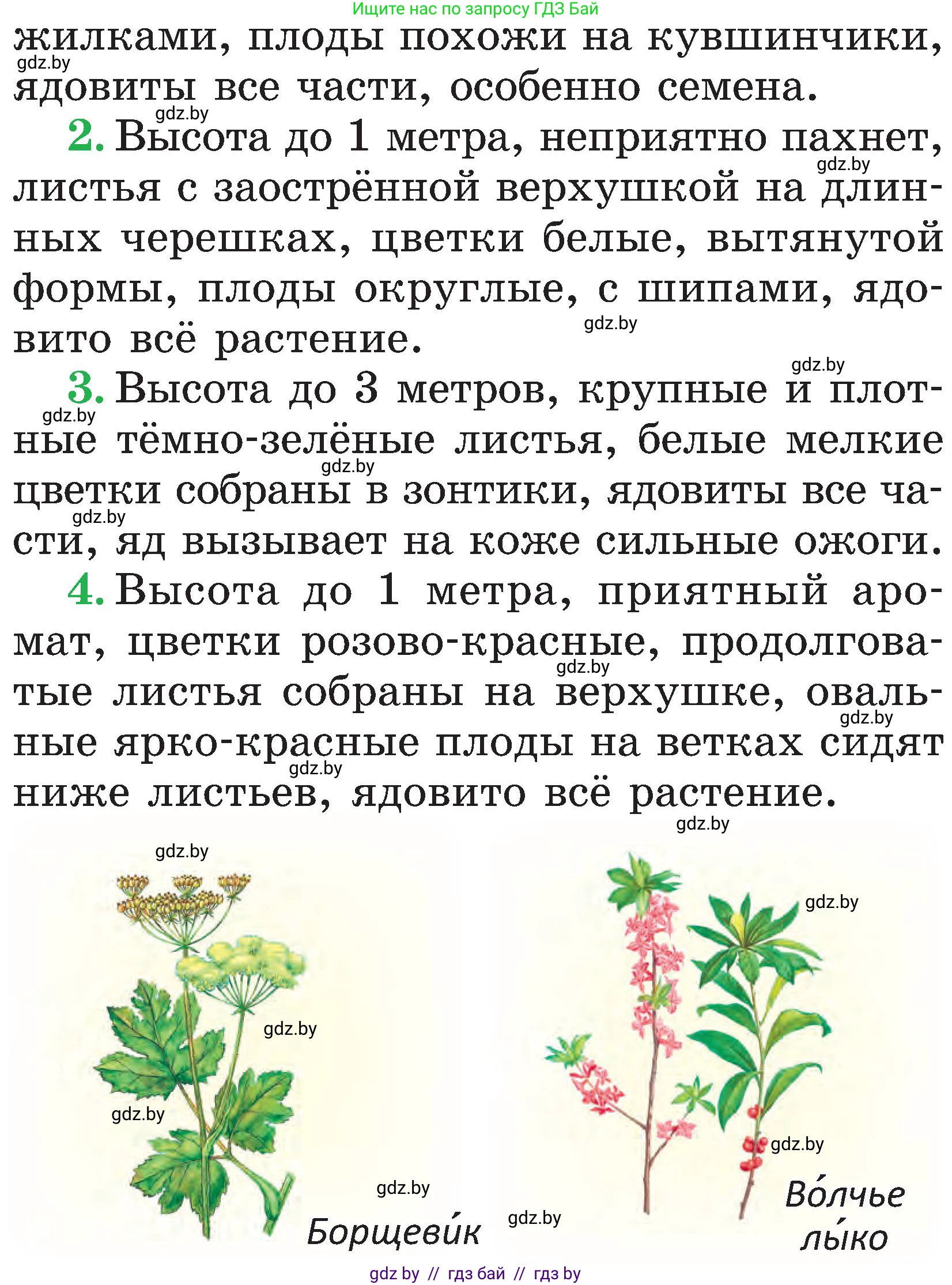 Человек и мир, 2 класс Учебник, авторы: Трафимова Галина Владимировна, Трафимов Сергей Анатольевич, издательство Академия образования, Минск, 2024, страница 56, номер 2, Условие (продолжение 2)