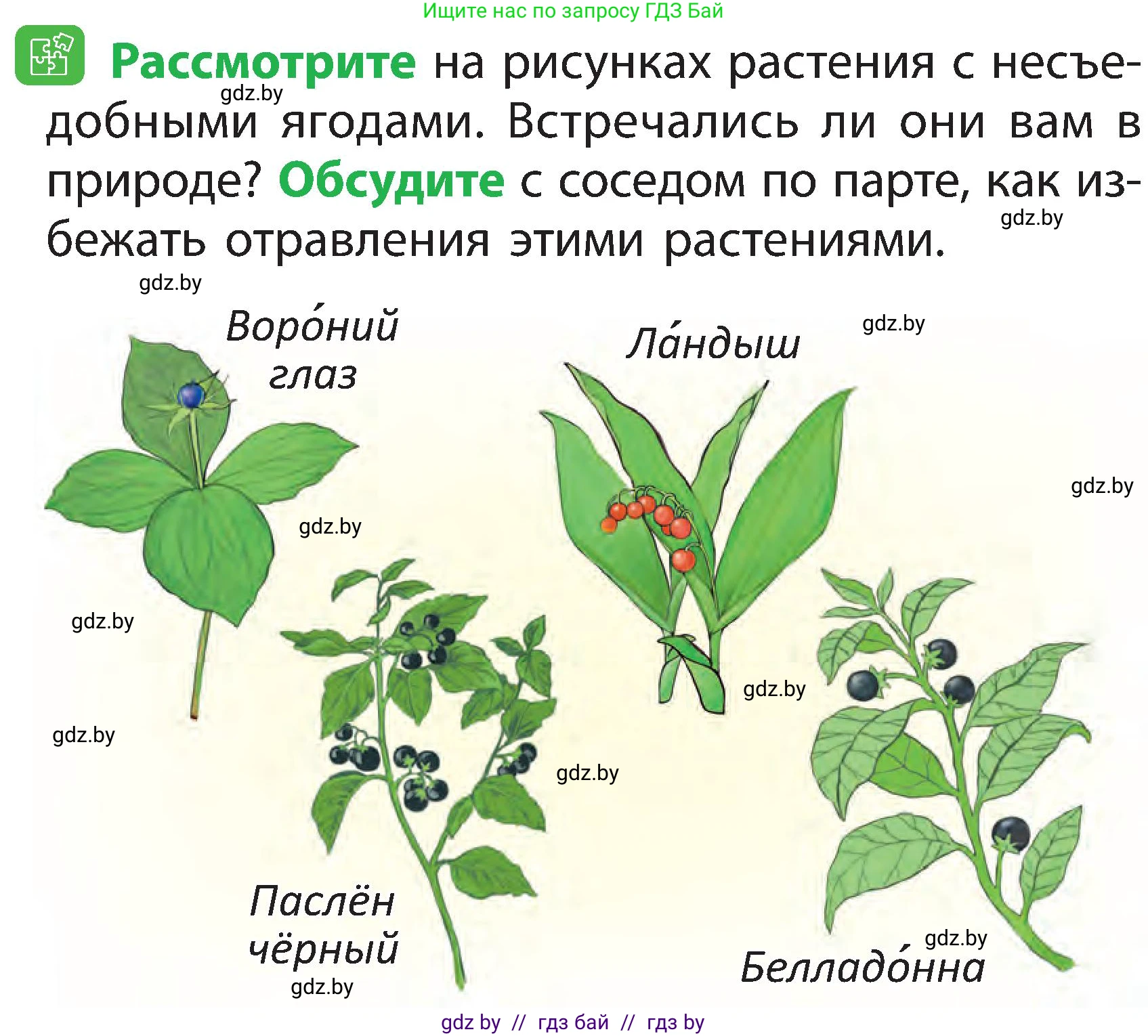 Человек и мир, 2 класс Учебник, авторы: Трафимова Галина Владимировна, Трафимов Сергей Анатольевич, издательство Академия образования, Минск, 2024, страница 58, номер 3, Условие