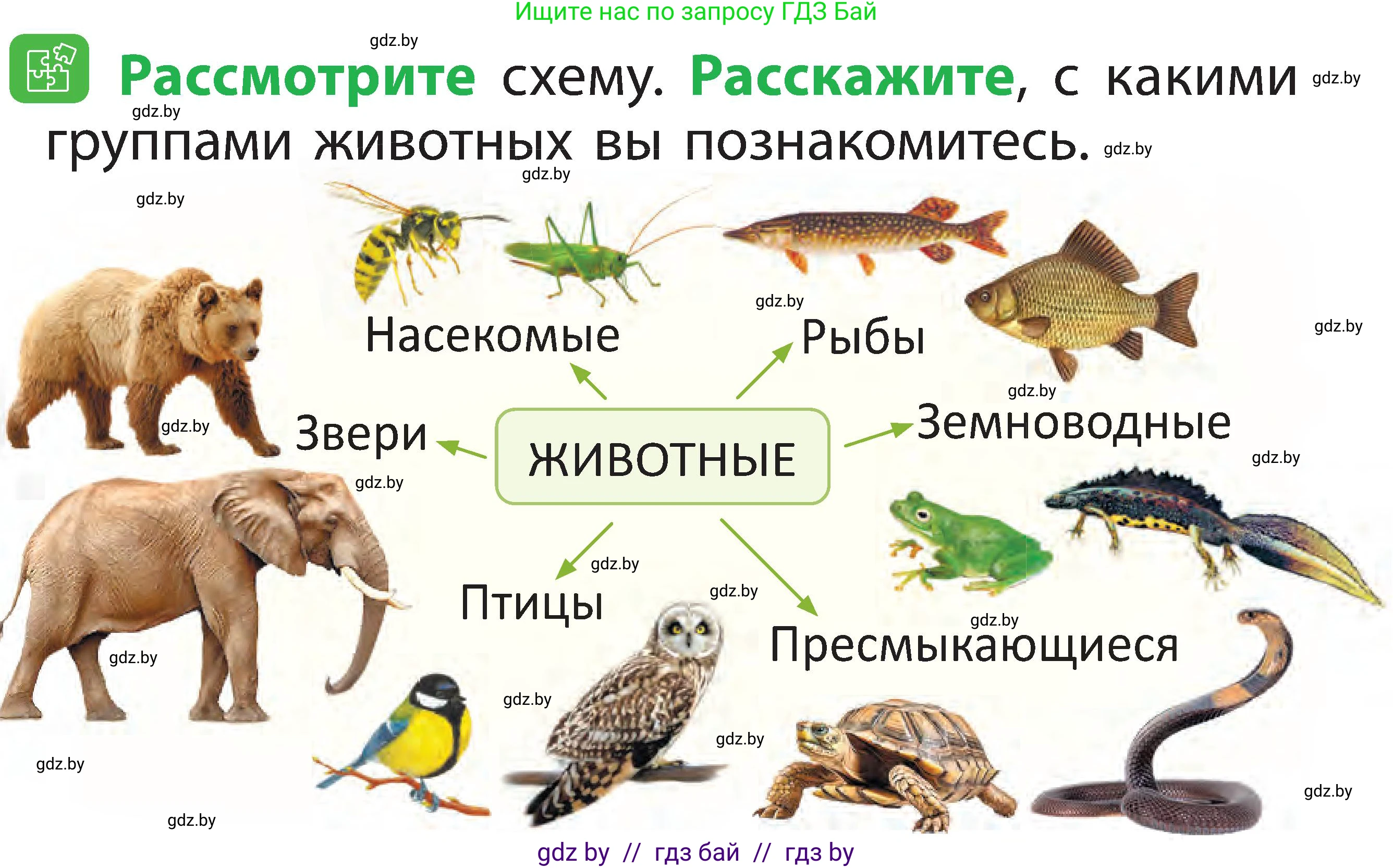 Человек и мир, 2 класс Учебник, авторы: Трафимова Галина Владимировна, Трафимов Сергей Анатольевич, издательство Академия образования, Минск, 2024, страница 77, номер 2, Условие