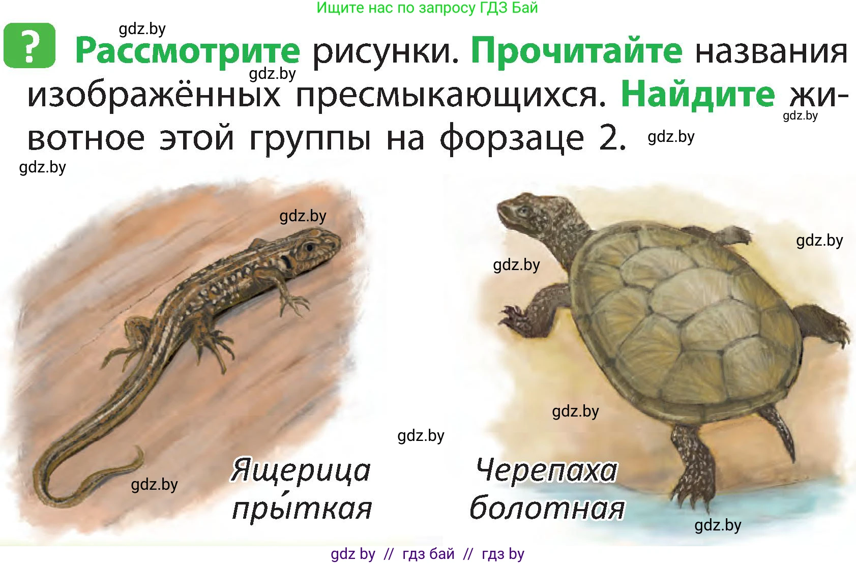 Человек и мир, 2 класс Учебник, авторы: Трафимова Галина Владимировна, Трафимов Сергей Анатольевич, издательство Академия образования, Минск, 2024, страница 90, номер 2, Условие