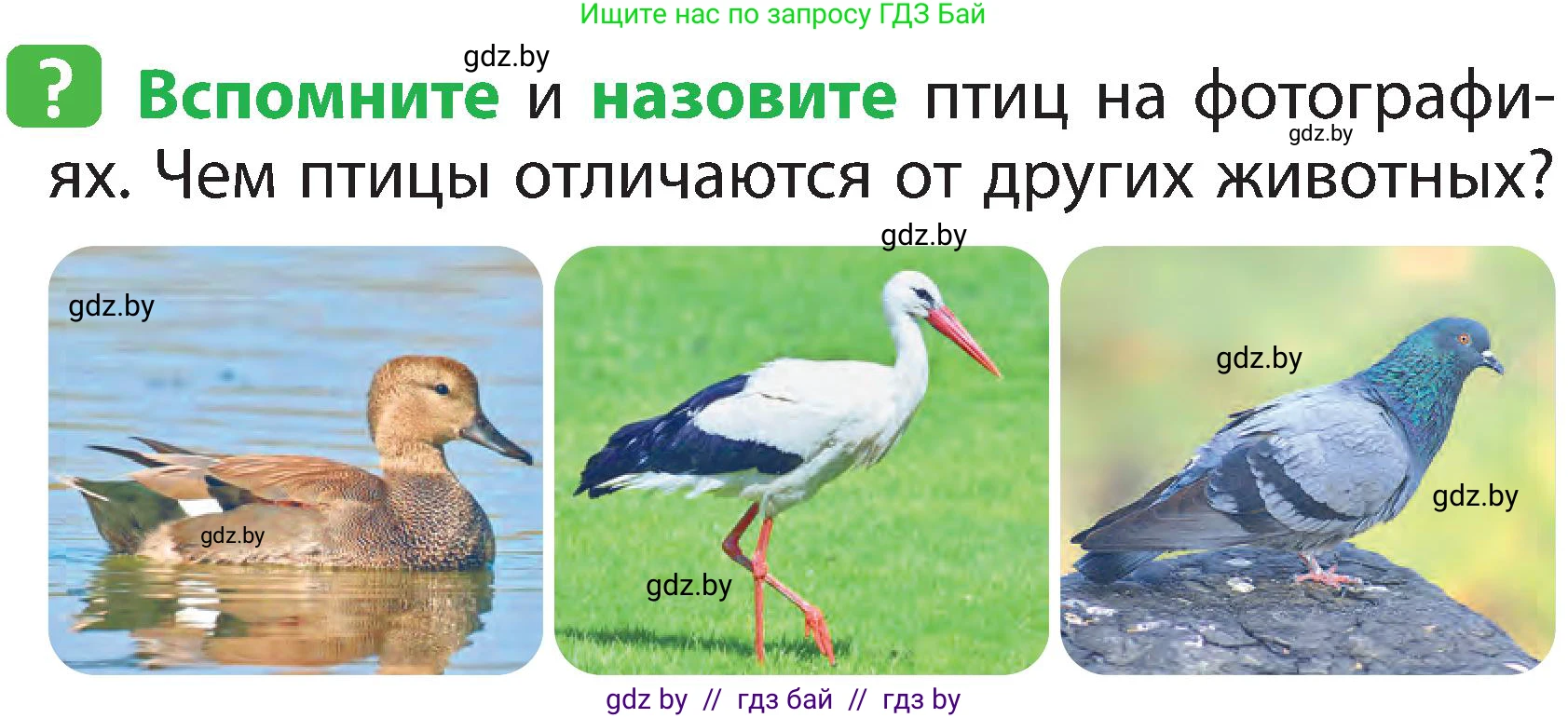 Человек и мир, 2 класс Учебник, авторы: Трафимова Галина Владимировна, Трафимов Сергей Анатольевич, издательство Академия образования, Минск, 2024, страница 94, номер 1, Условие