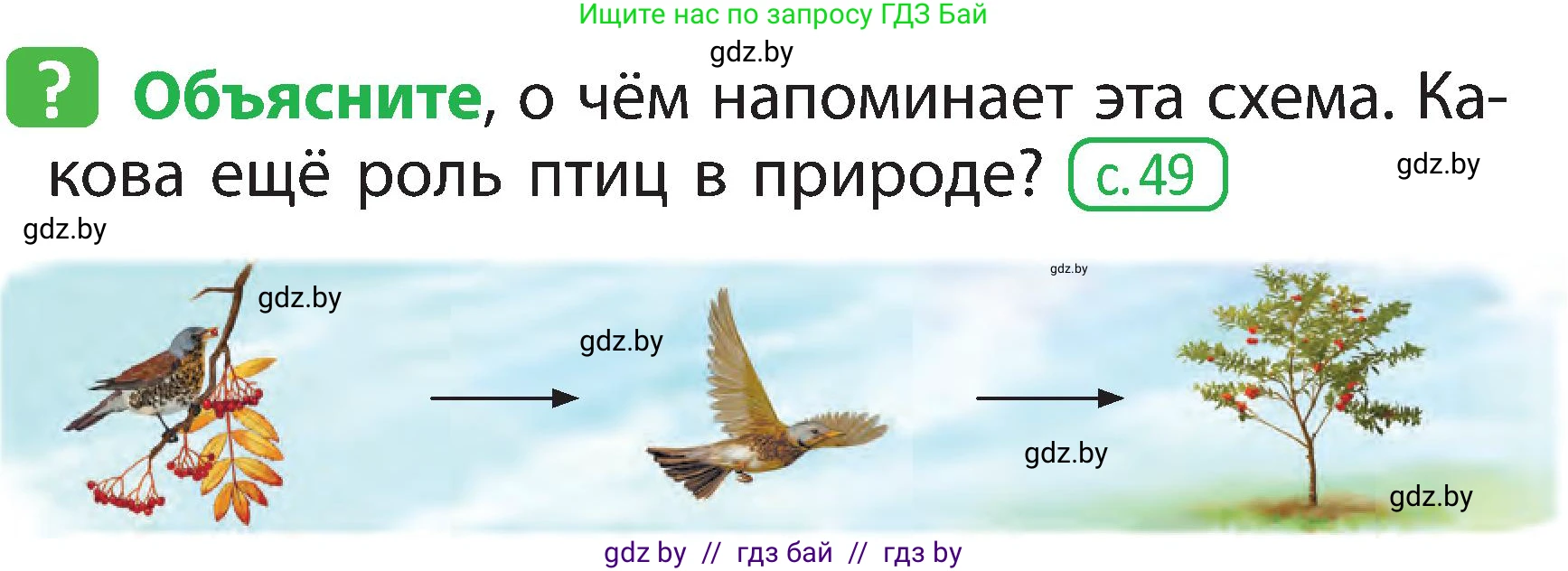 Человек и мир, 2 класс Учебник, авторы: Трафимова Галина Владимировна, Трафимов Сергей Анатольевич, издательство Академия образования, Минск, 2024, страница 96, номер 3, Условие