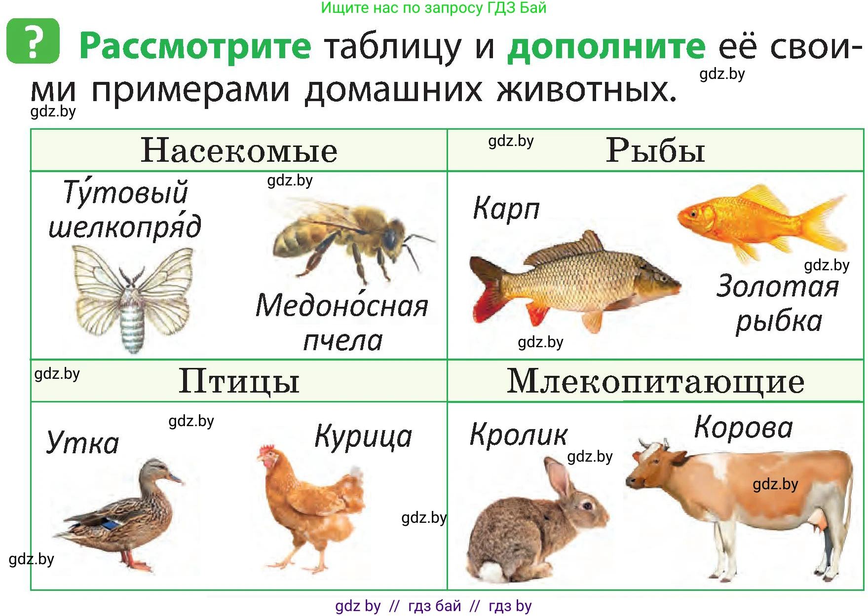 Человек и мир, 2 класс Учебник, авторы: Трафимова Галина Владимировна, Трафимов Сергей Анатольевич, издательство Академия образования, Минск, 2024, страница 103, номер 2, Условие