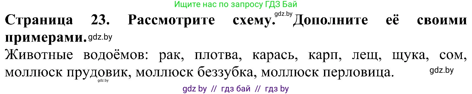 Человек и мир, 2 класс Учебник, авторы: Трафимова Галина Владимировна, Трафимов Сергей Анатольевич, издательство Академия образования, Минск, 2024, страница 23, номер 2, Решение