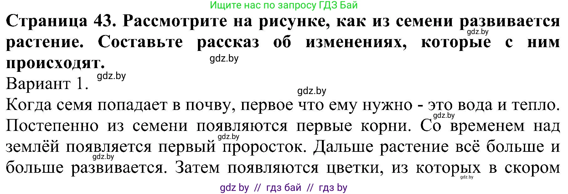 Человек и мир, 2 класс Учебник, авторы: Трафимова Галина Владимировна, Трафимов Сергей Анатольевич, издательство Академия образования, Минск, 2024, страница 43, номер 5, Решение