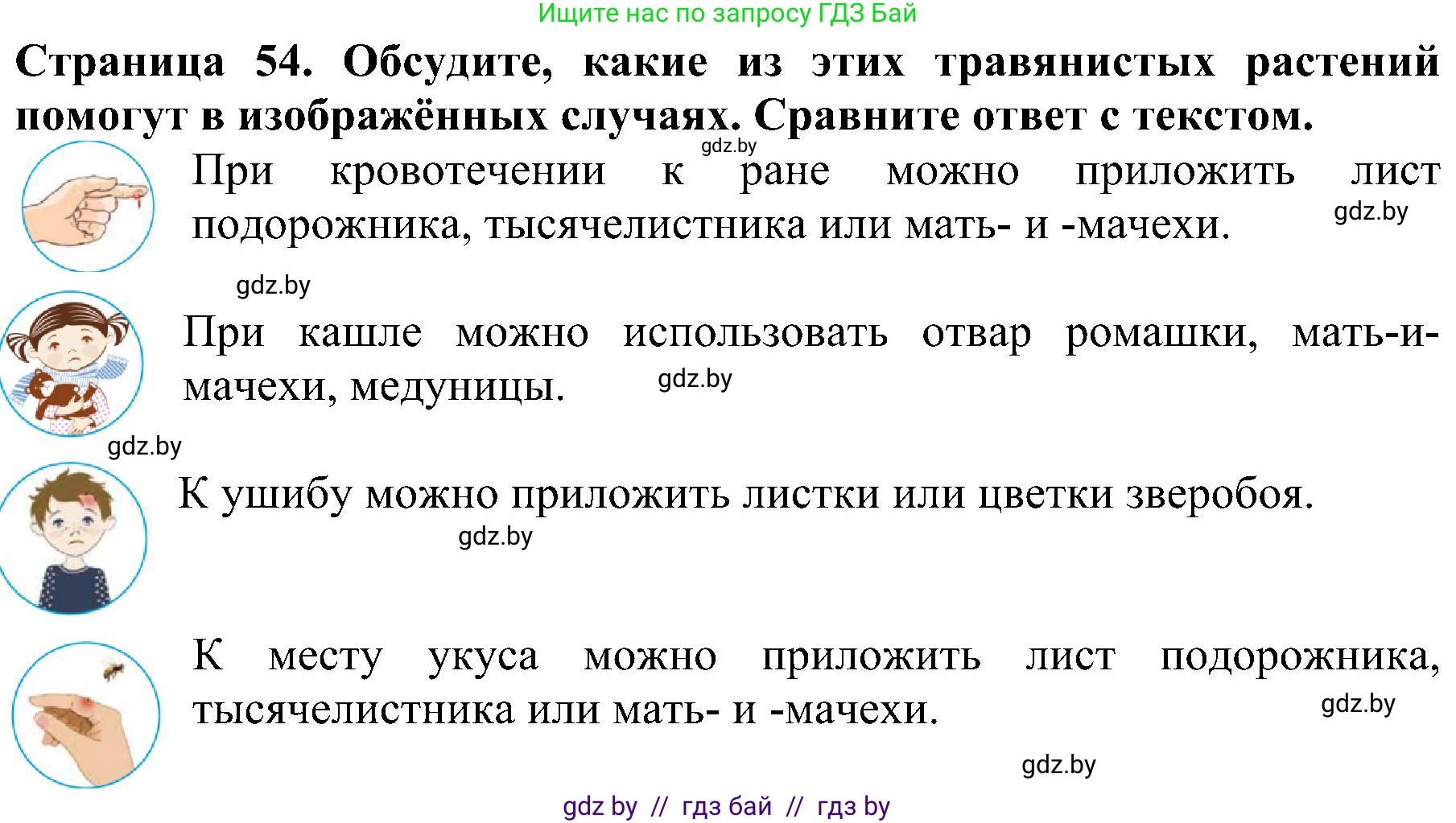 Человек и мир, 2 класс Учебник, авторы: Трафимова Галина Владимировна, Трафимов Сергей Анатольевич, издательство Академия образования, Минск, 2024, страница 54, номер 3, Решение