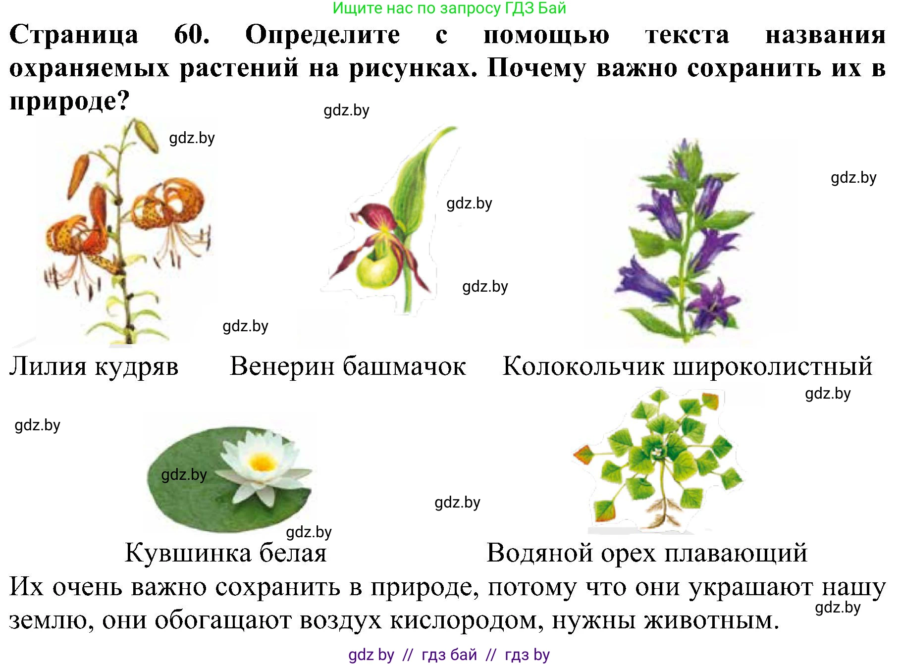Человек и мир, 2 класс Учебник, авторы: Трафимова Галина Владимировна, Трафимов Сергей Анатольевич, издательство Академия образования, Минск, 2024, страница 60, номер 2, Решение