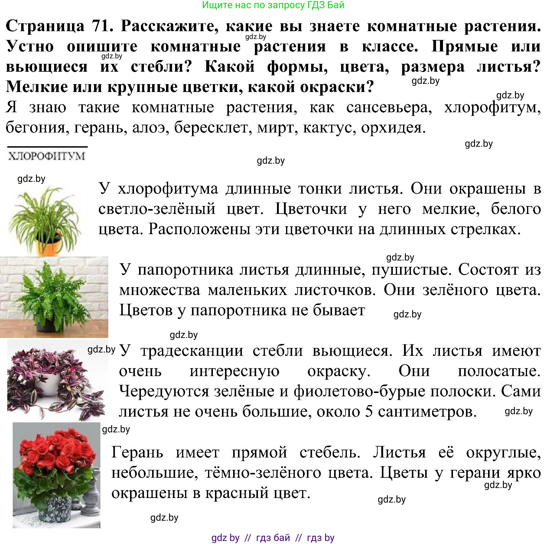 Человек и мир, 2 класс Учебник, авторы: Трафимова Галина Владимировна, Трафимов Сергей Анатольевич, издательство Академия образования, Минск, 2024, страница 71, номер 5, Решение