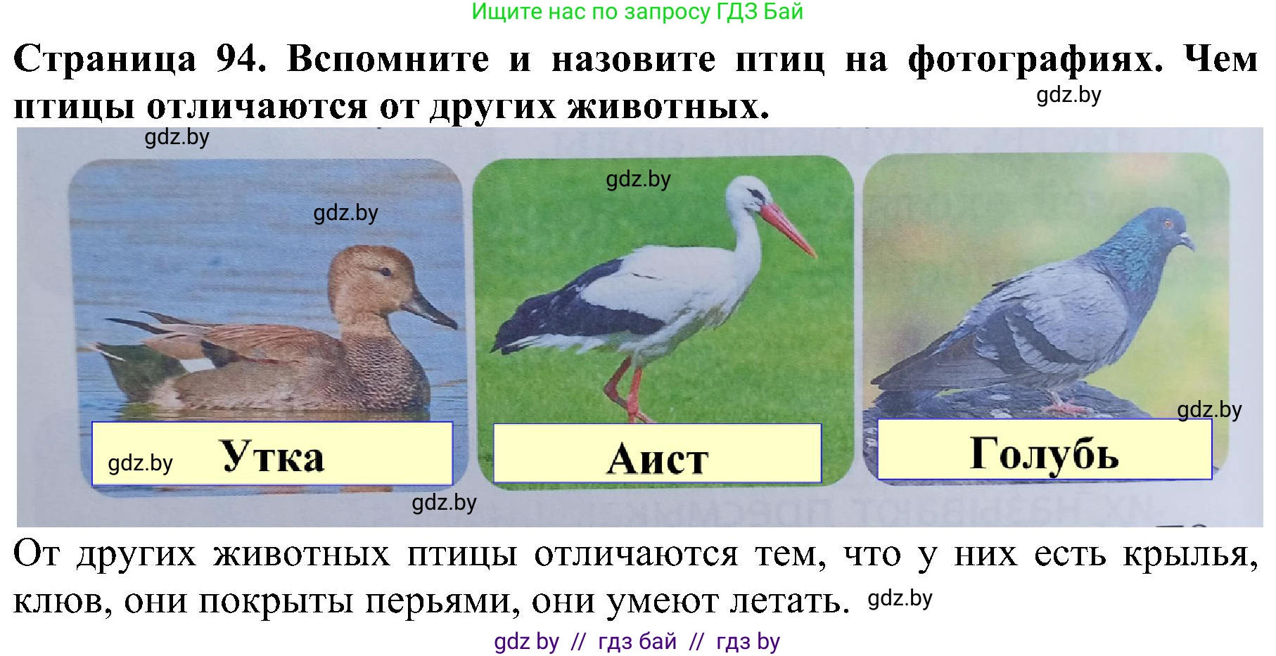 Человек и мир, 2 класс Учебник, авторы: Трафимова Галина Владимировна, Трафимов Сергей Анатольевич, издательство Академия образования, Минск, 2024, страница 94, номер 1, Решение