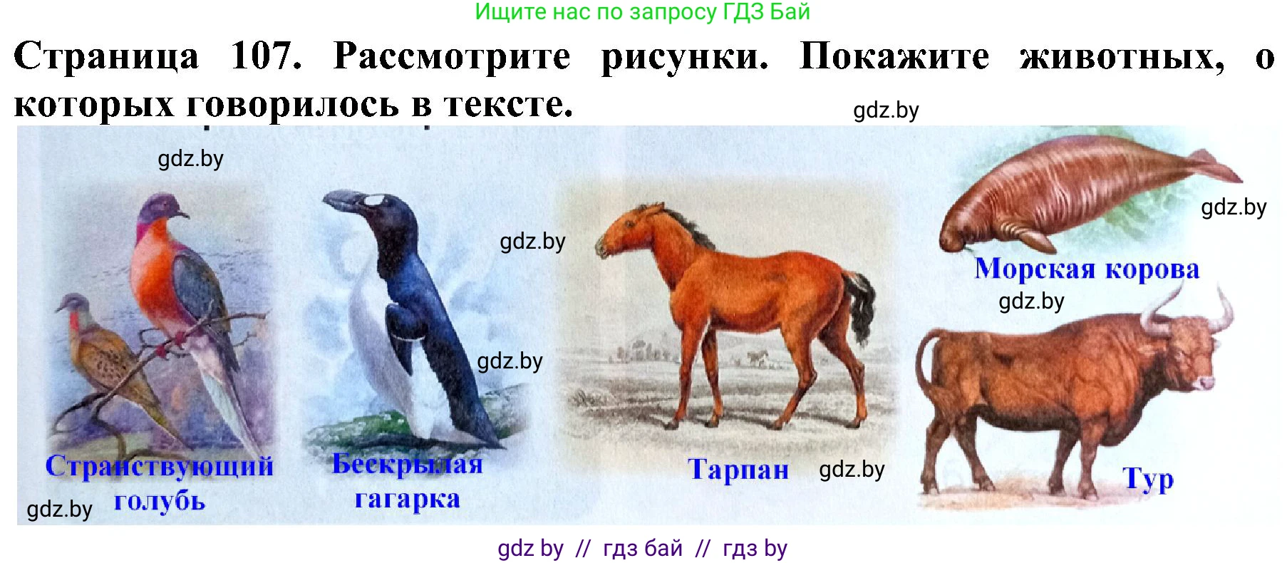 Человек и мир, 2 класс Учебник, авторы: Трафимова Галина Владимировна, Трафимов Сергей Анатольевич, издательство Академия образования, Минск, 2024, страница 107, номер 2, Решение