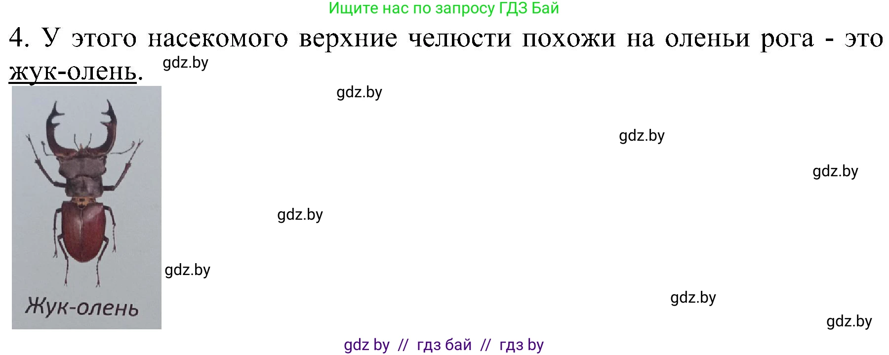Человек и мир, 2 класс Учебник, авторы: Трафимова Галина Владимировна, Трафимов Сергей Анатольевич, издательство Академия образования, Минск, 2024, страница 109, номер 4, Решение (продолжение 2)