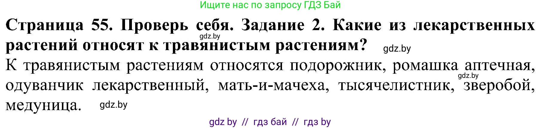 Человек и мир, 2 класс Учебник, авторы: Трафимова Галина Владимировна, Трафимов Сергей Анатольевич, издательство Академия образования, Минск, 2024, страница 55, номер 2, Решение