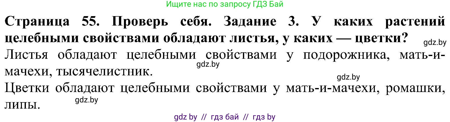Человек и мир, 2 класс Учебник, авторы: Трафимова Галина Владимировна, Трафимов Сергей Анатольевич, издательство Академия образования, Минск, 2024, страница 55, номер 3, Решение