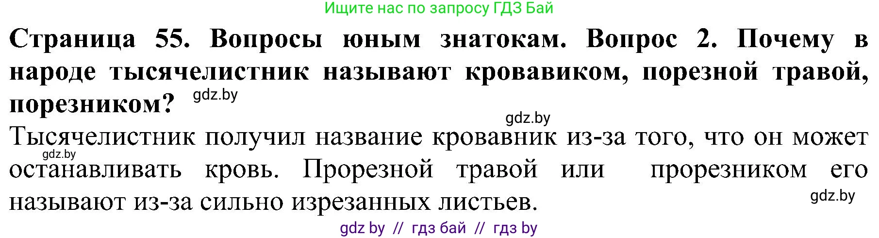 Человек и мир, 2 класс Учебник, авторы: Трафимова Галина Владимировна, Трафимов Сергей Анатольевич, издательство Академия образования, Минск, 2024, страница 55, номер 2, Решение