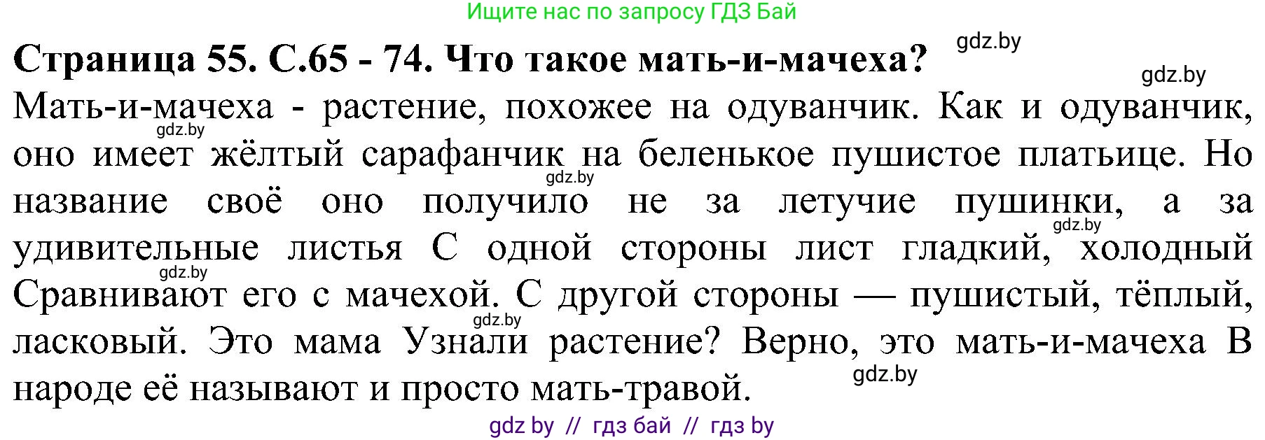 Человек и мир, 2 класс Учебник, авторы: Трафимова Галина Владимировна, Трафимов Сергей Анатольевич, издательство Академия образования, Минск, 2024, страница 55, номер 3, Решение