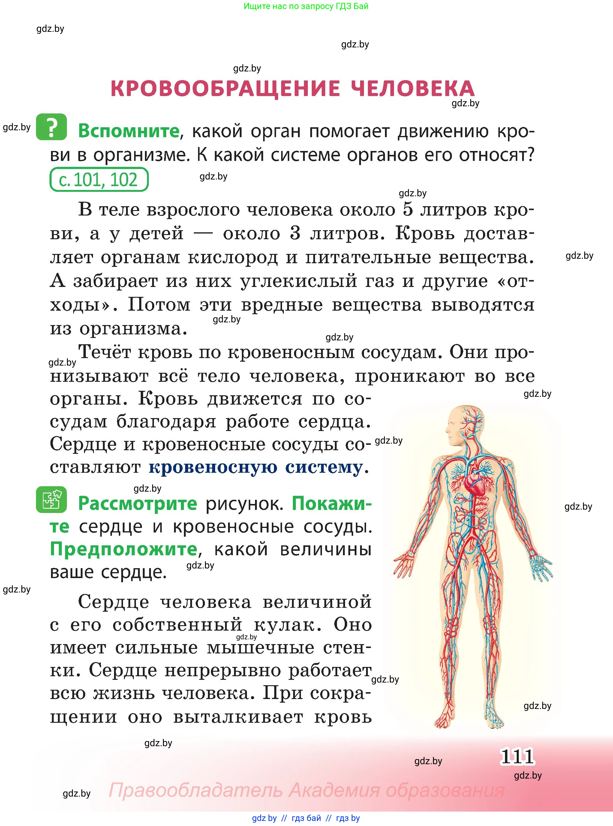 Человек и мир, 3 класс Учебник, авторы: Трафимова Галина Владимировна, Трафимов Сергей Анатольевич, издательство Академия образования, Минск, 2025, голубого цвета, страница 111