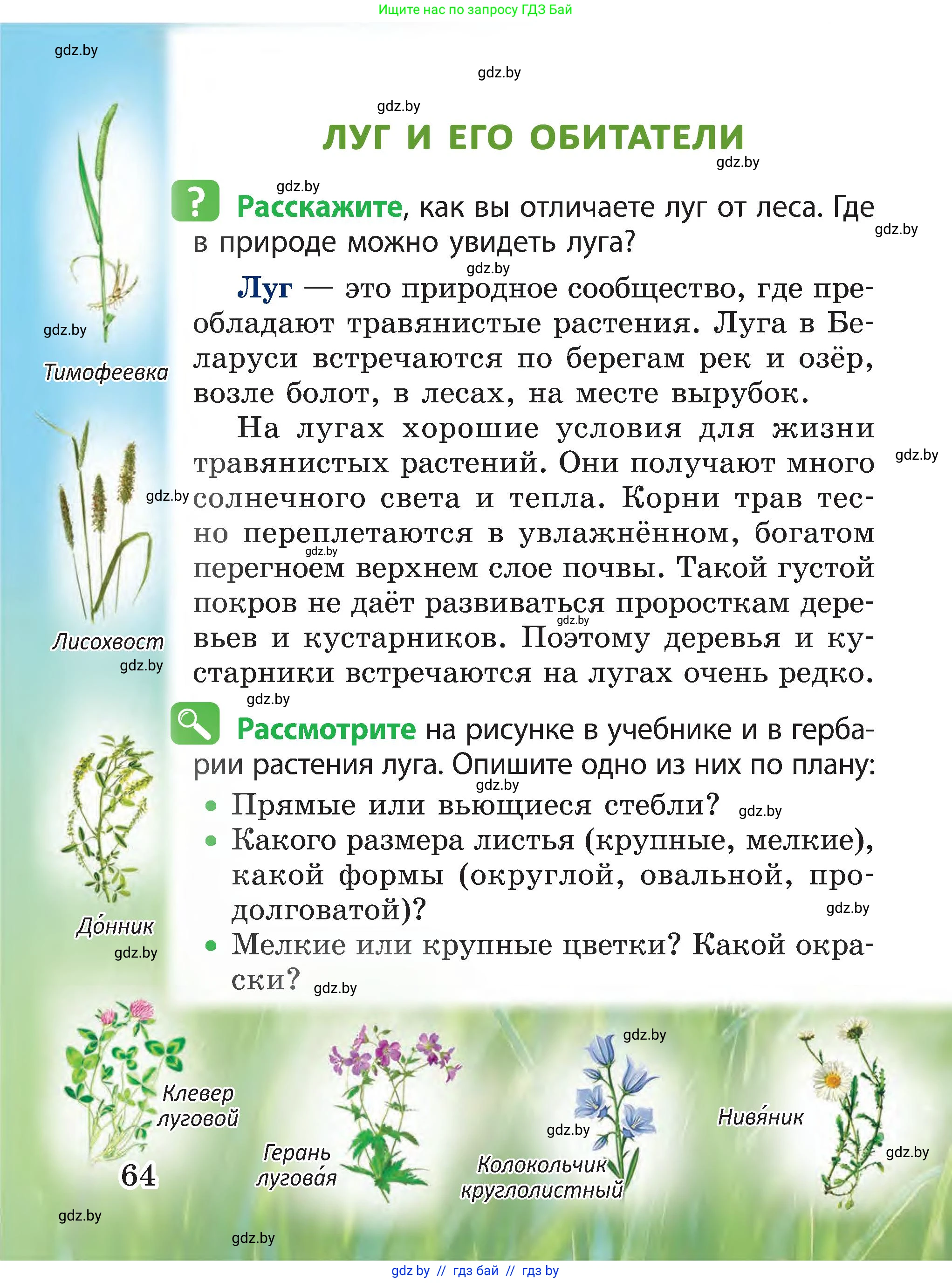 Человек и мир, 3 класс Учебник, авторы: Трафимова Галина Владимировна, Трафимов Сергей Анатольевич, издательство Академия образования, Минск, 2025, голубого цвета, страница 64