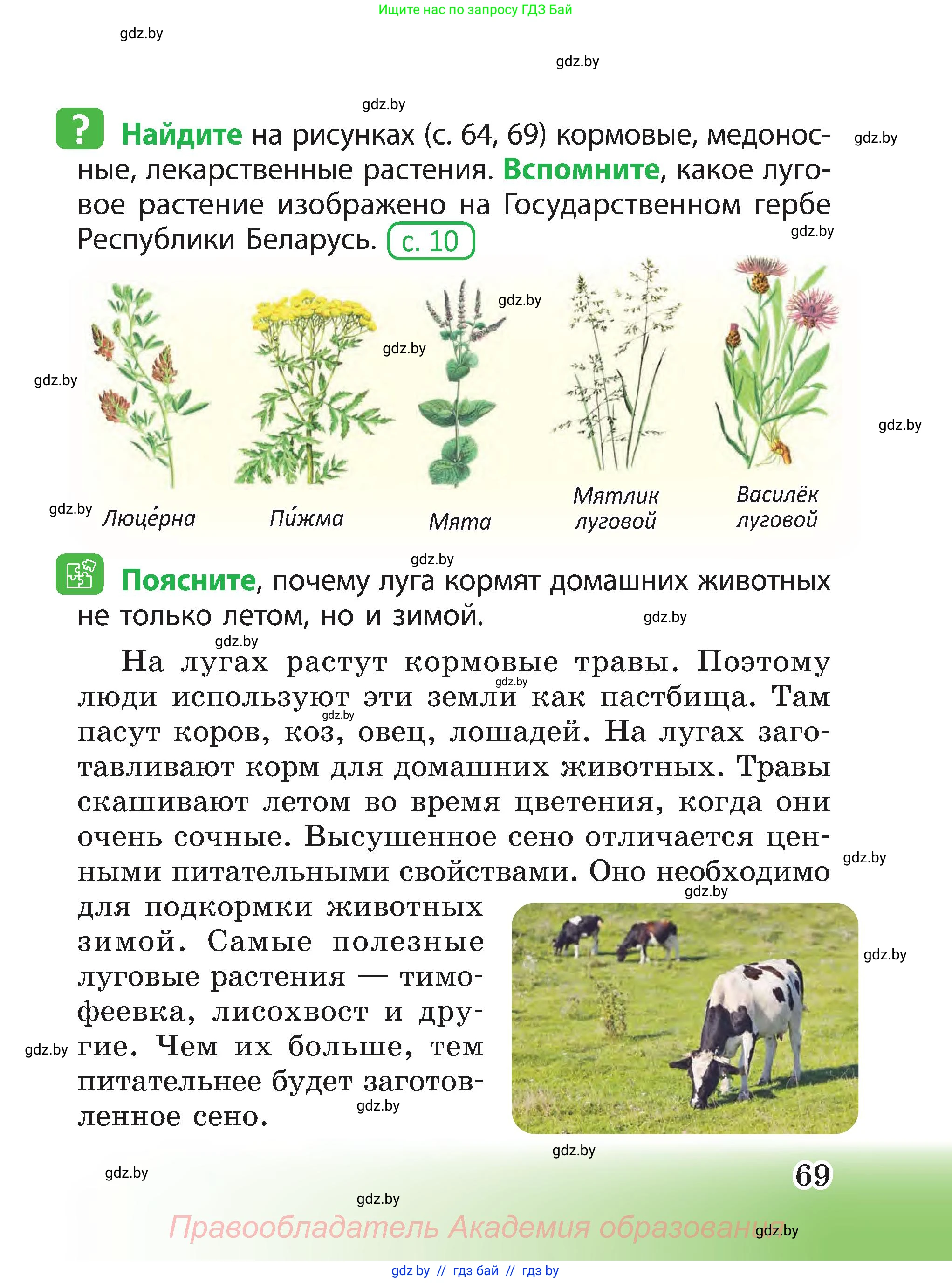 Человек и мир, 3 класс Учебник, авторы: Трафимова Галина Владимировна, Трафимов Сергей Анатольевич, издательство Академия образования, Минск, 2025, голубого цвета, страница 69