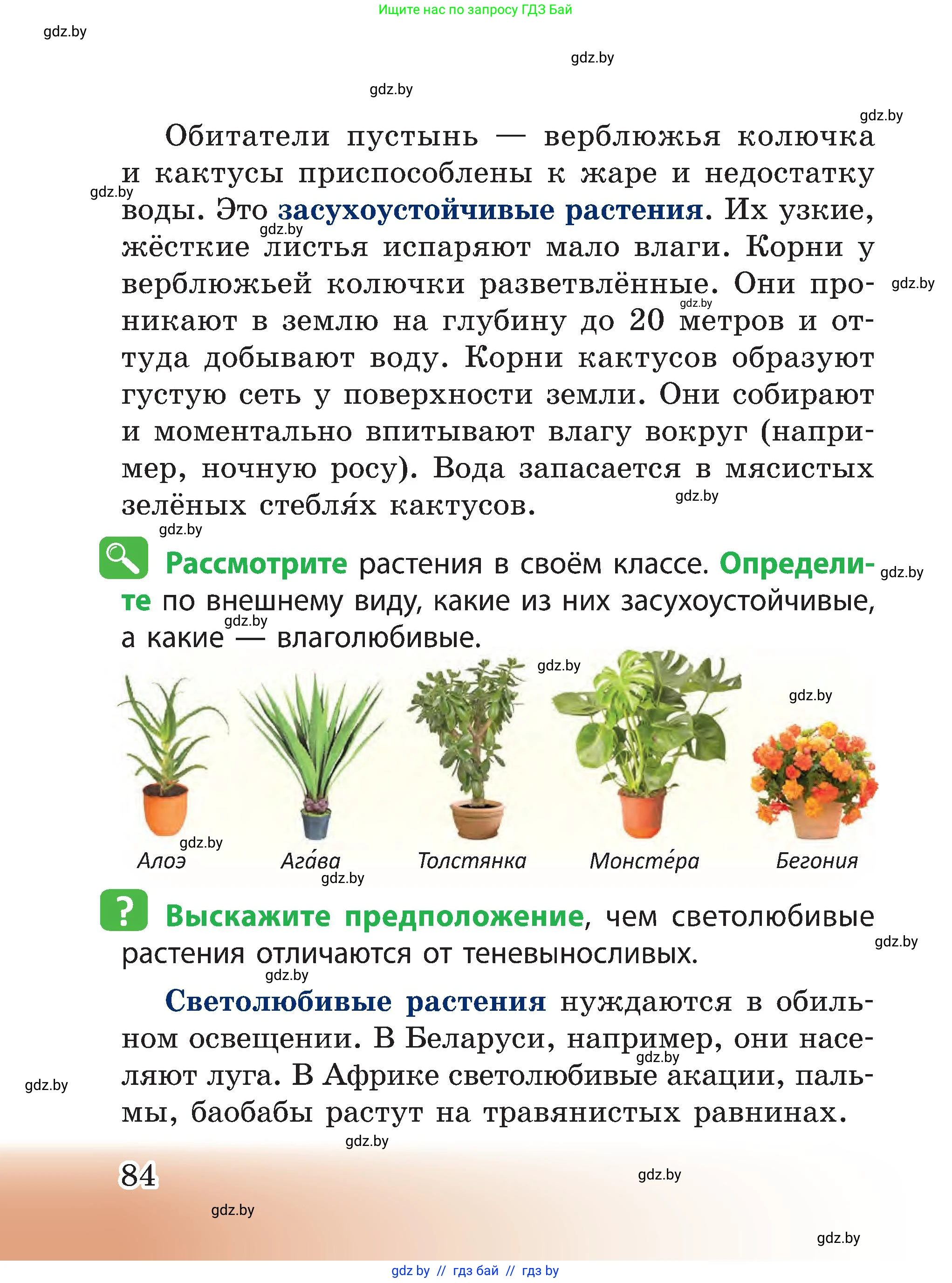 Человек и мир, 3 класс Учебник, авторы: Трафимова Галина Владимировна, Трафимов Сергей Анатольевич, издательство Академия образования, Минск, 2025, голубого цвета, страница 84
