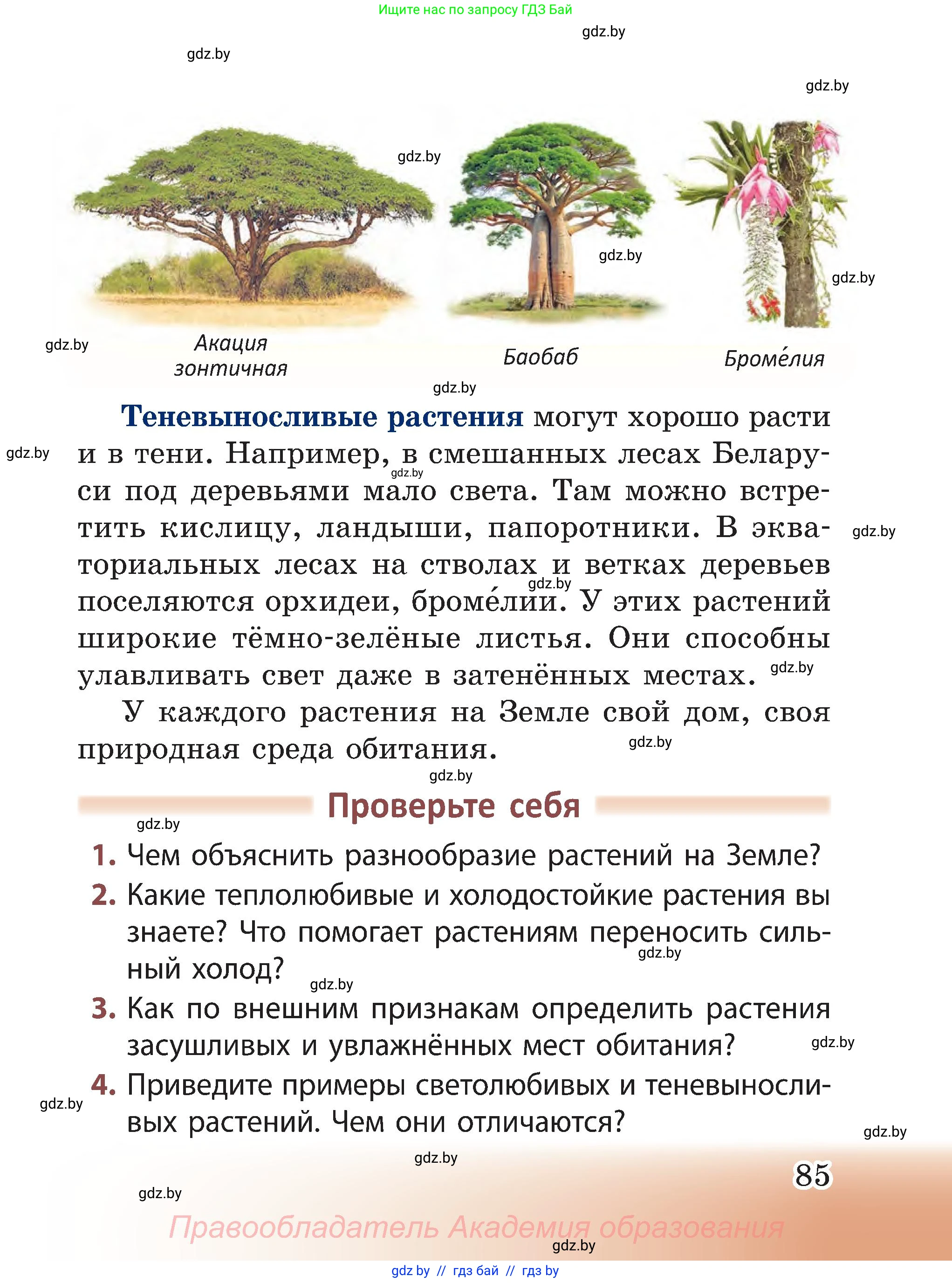Человек и мир, 3 класс Учебник, авторы: Трафимова Галина Владимировна, Трафимов Сергей Анатольевич, издательство Академия образования, Минск, 2025, голубого цвета, страница 85