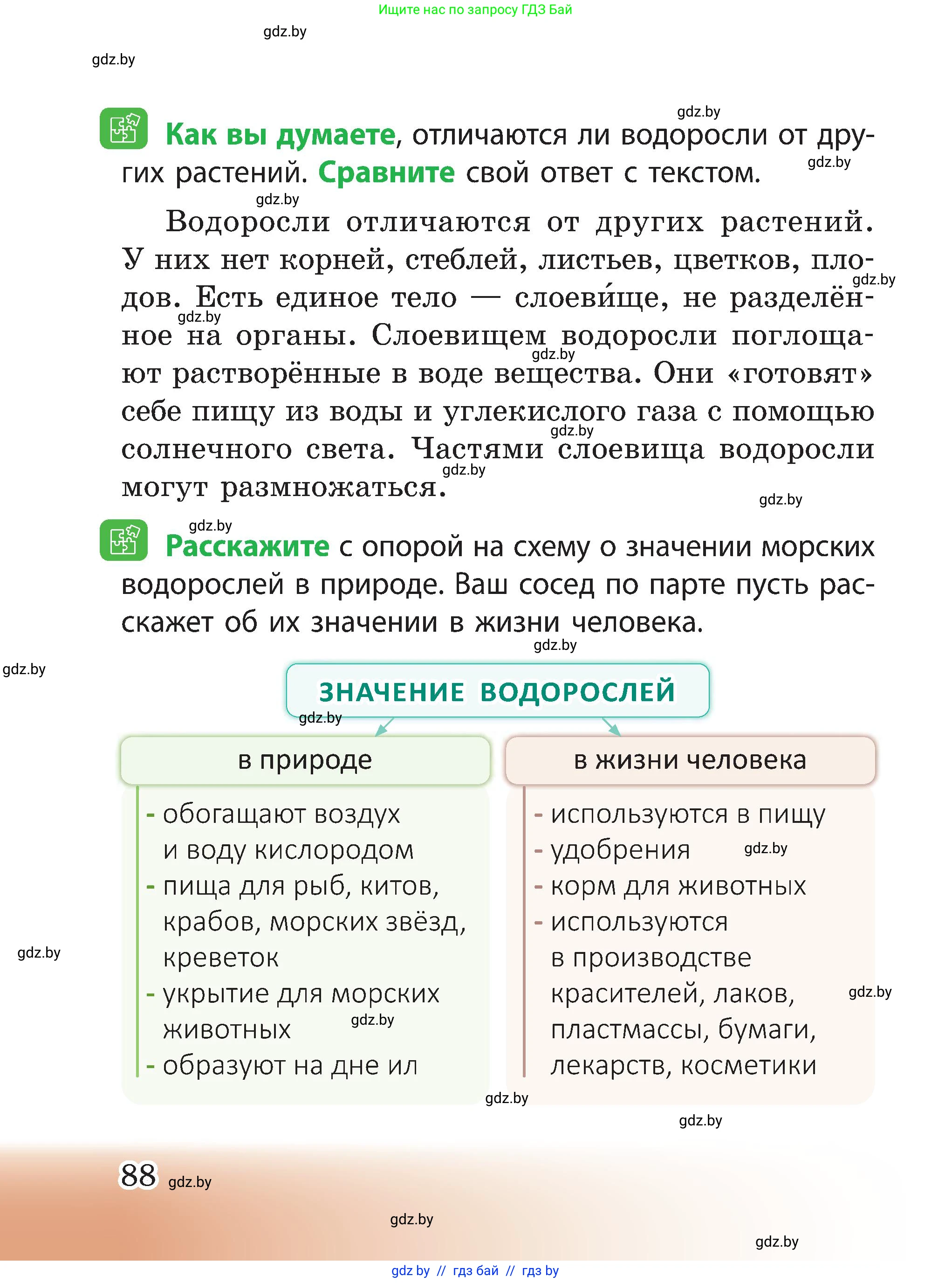 Человек и мир, 3 класс Учебник, авторы: Трафимова Галина Владимировна, Трафимов Сергей Анатольевич, издательство Академия образования, Минск, 2025, голубого цвета, страница 88