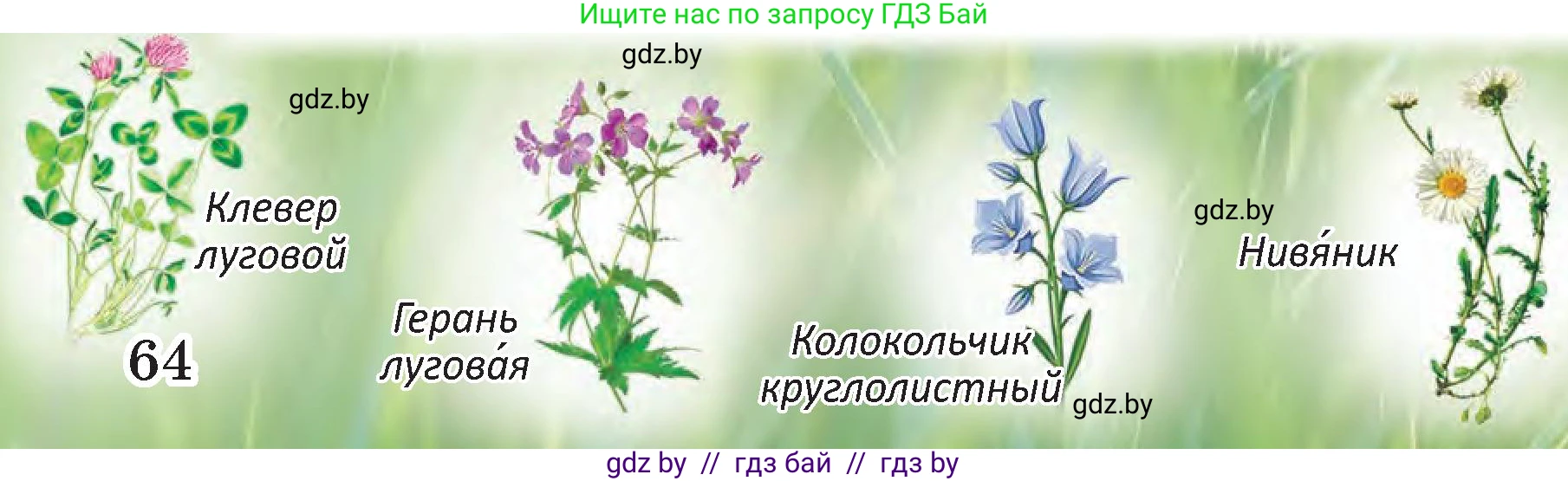 Человек и мир, 3 класс Учебник, авторы: Трафимова Галина Владимировна, Трафимов Сергей Анатольевич, издательство Академия образования, Минск, 2025, голубого цвета, страница 64, Условие (продолжение 3)