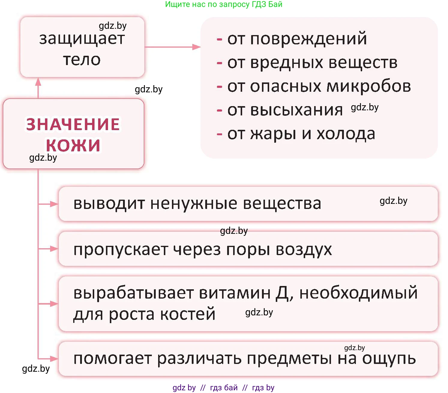 Человек и мир, 3 класс Учебник, авторы: Трафимова Галина Владимировна, Трафимов Сергей Анатольевич, издательство Академия образования, Минск, 2025, голубого цвета, страница 104, Условие (продолжение 2)