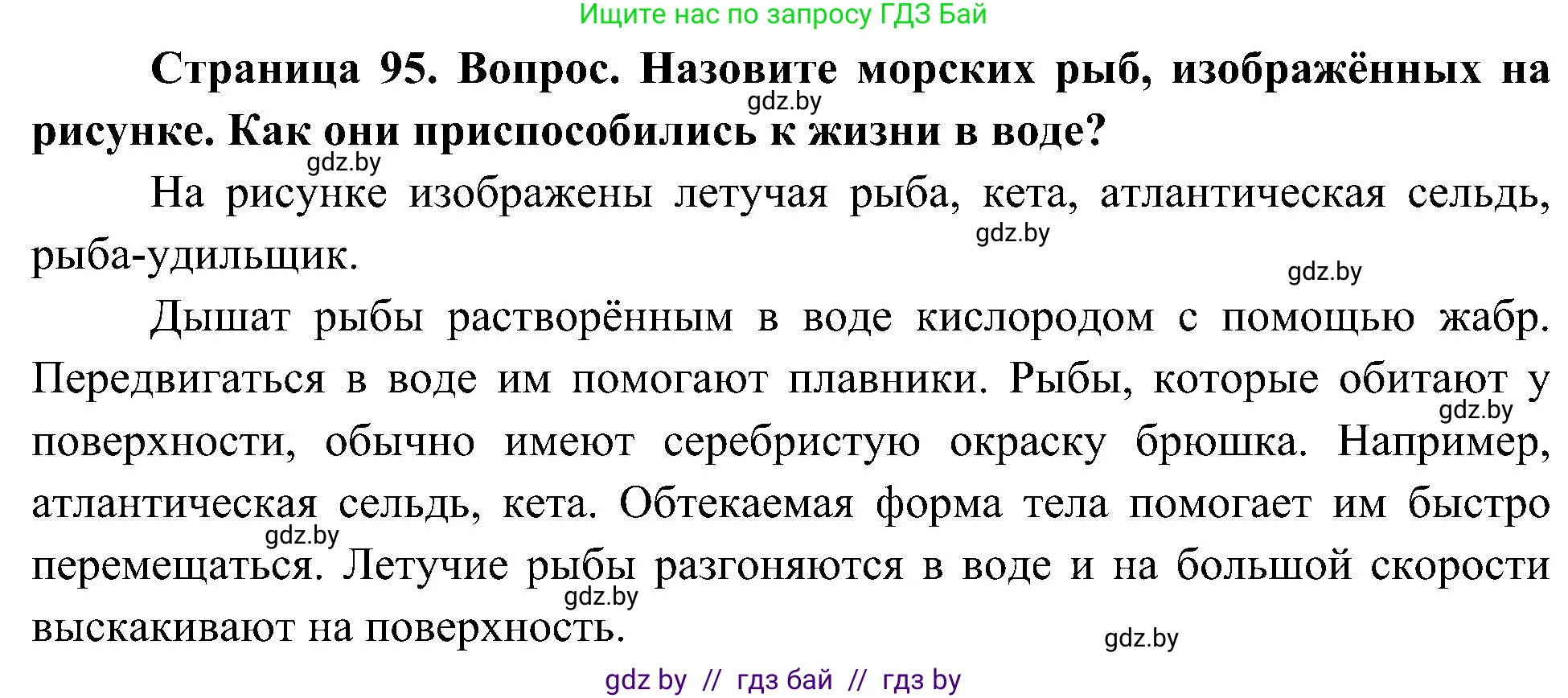 Человек и мир, 3 класс Учебник, авторы: Трафимова Галина Владимировна, Трафимов Сергей Анатольевич, издательство Академия образования, Минск, 2025, голубого цвета, страница 95, Решение