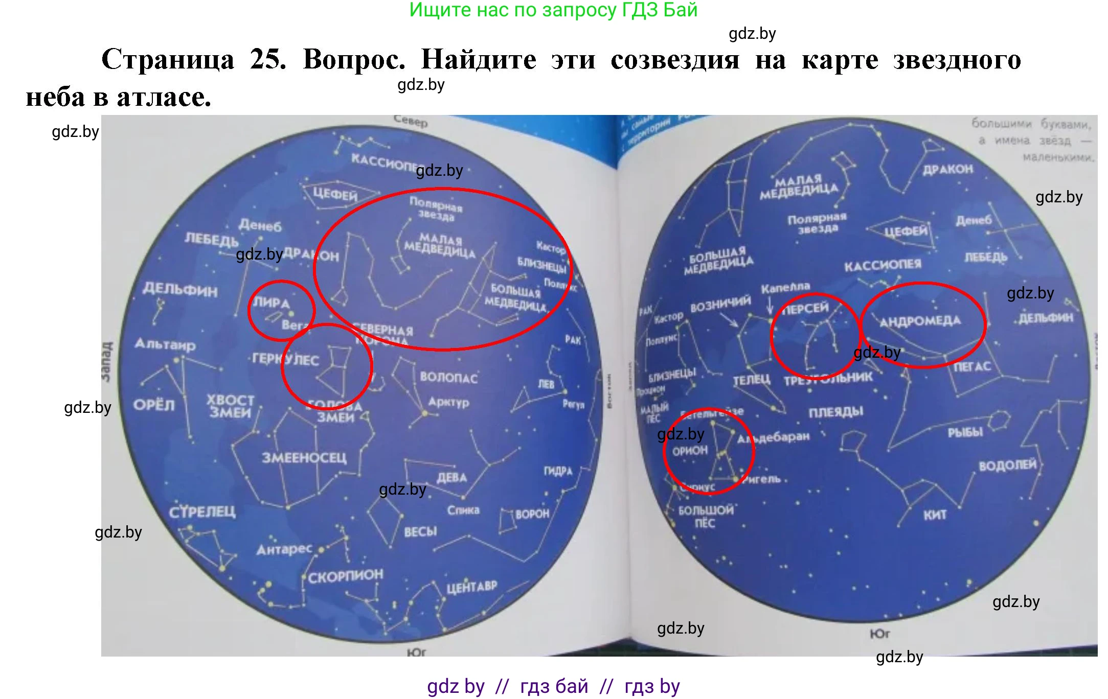 Человек и мир, 5 класс Учебник, авторы: Лопух Пётр Степанович, Сарычева Ольга Владимировна, Шкель Людмила Валерьевна, издательство Народная асвета, Минск, 2022, белого цвета, страница 25, номер 2, Решение