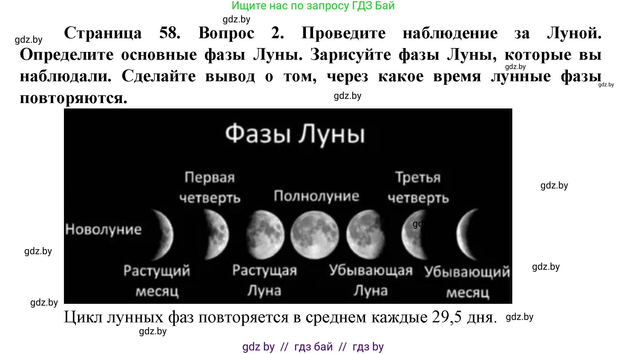 Человек и мир, 5 класс Учебник, авторы: Лопух Пётр Степанович, Сарычева Ольга Владимировна, Шкель Людмила Валерьевна, издательство Народная асвета, Минск, 2022, белого цвета, страница 58, номер 2, Решение
