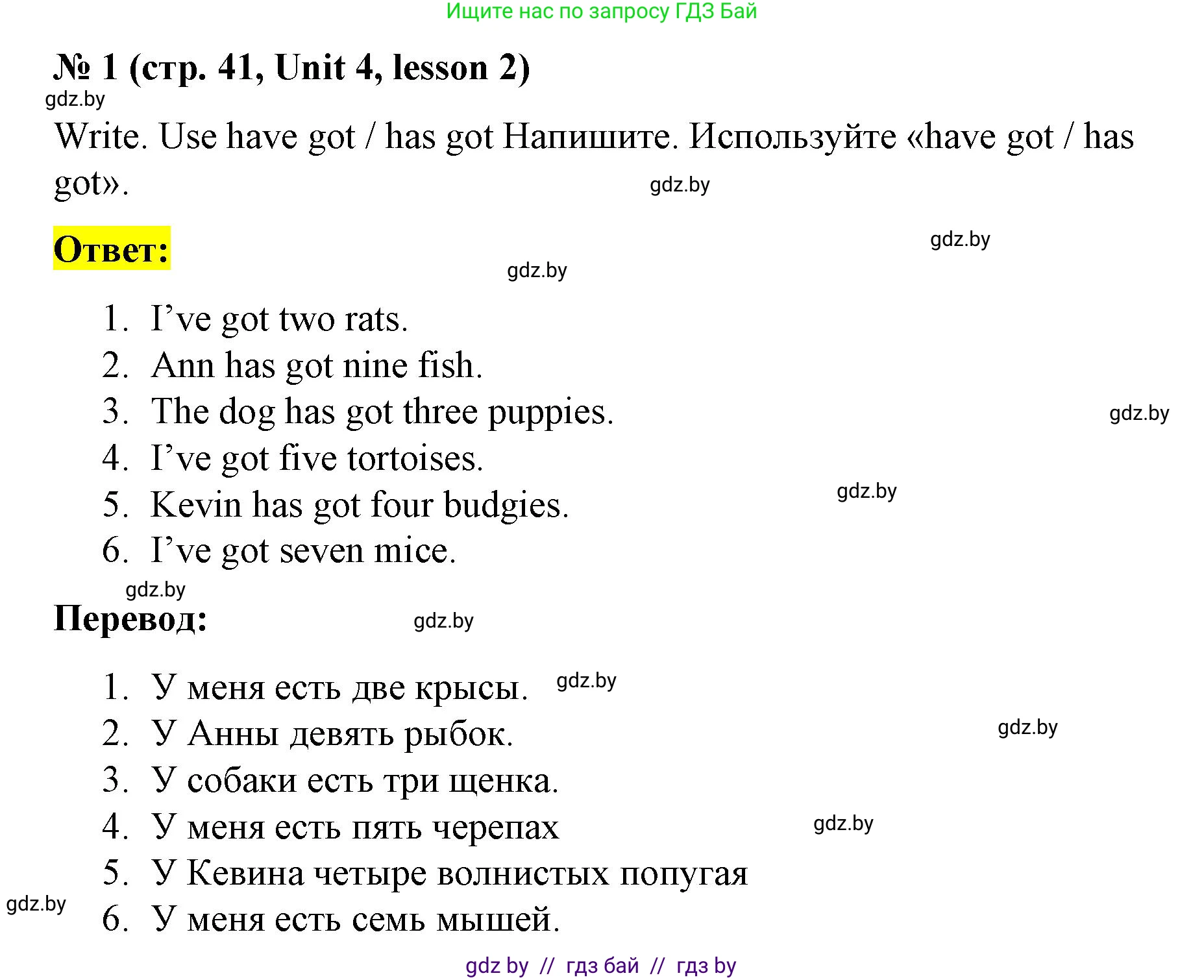 Английский язык (english), 3 класс практикум по грамматике (grammar), автор: Севрюкова Татьяна Юрьевна, издательство Аверсэв, Минск, 2023, салатового цвета, страница 41, номер 1, Решение