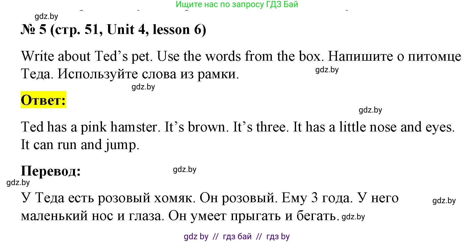 Английский язык (english), 3 класс практикум по грамматике (grammar), автор: Севрюкова Татьяна Юрьевна, издательство Аверсэв, Минск, 2023, салатового цвета, страница 51, номер 5, Решение