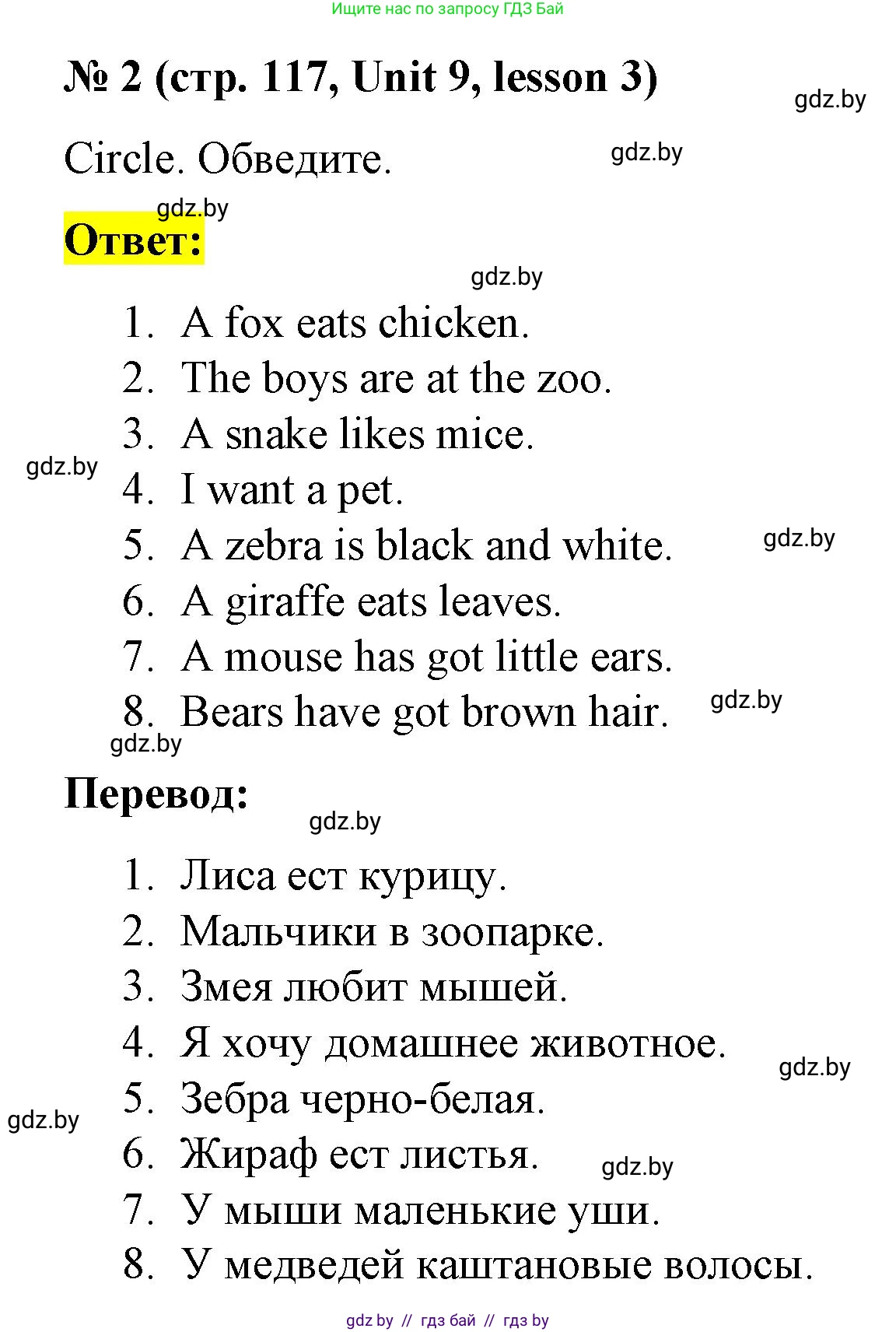 Английский язык (english), 3 класс практикум по грамматике (grammar), автор: Севрюкова Татьяна Юрьевна, издательство Аверсэв, Минск, 2023, салатового цвета, страница 117, номер 2, Решение