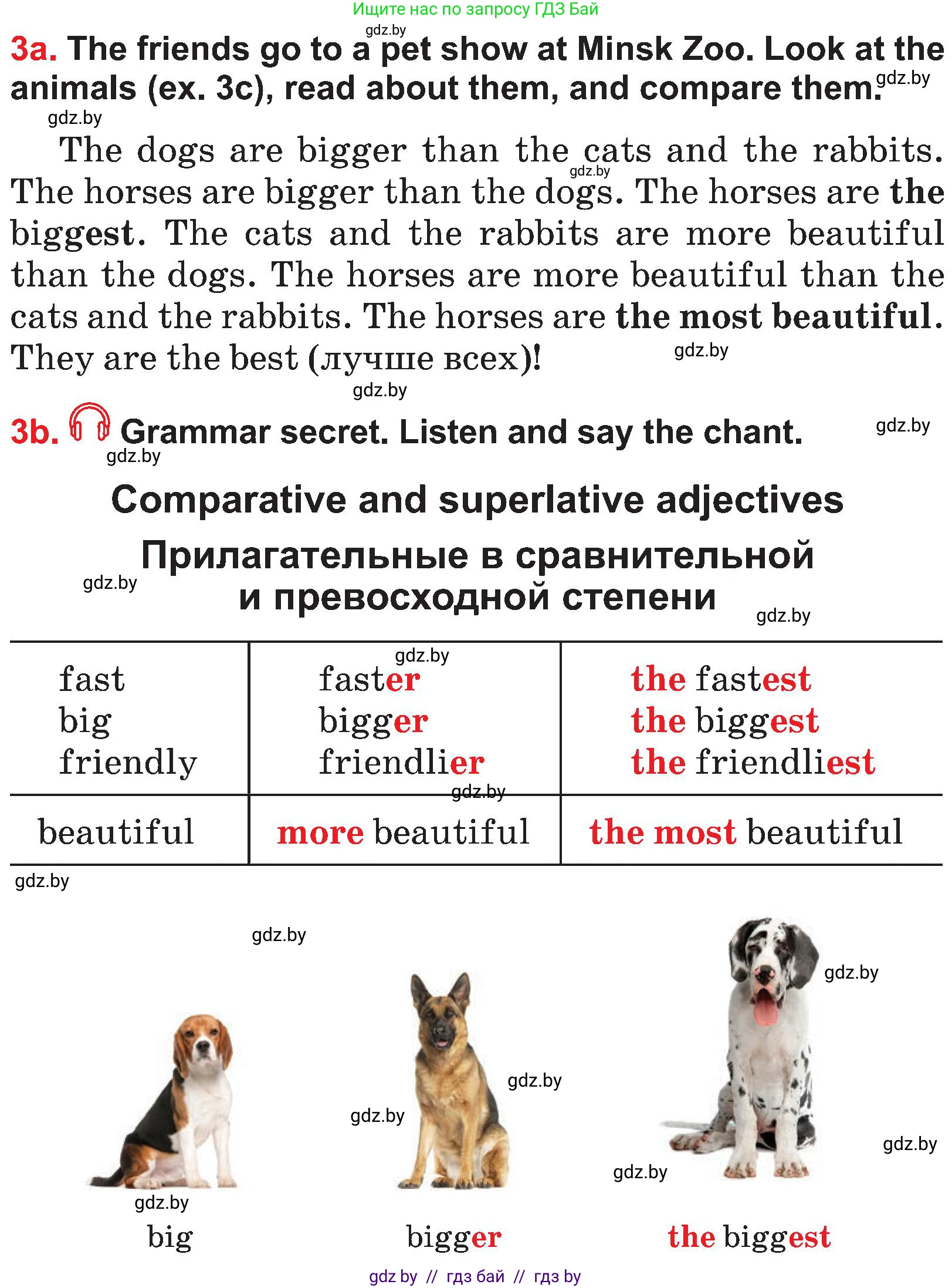 Английский язык (english), 4 класс Учебник (Student's book), авторы: Лапицкая Людмила Михайловна (Lapitskaya Ludmila), Седунова Наталья Михайловна (Sedunova Natalia), издательство Адукацыя i выхаванне, Минск, 2024, бирюзового цвета, Часть ( Part) 1, страница 135, номер 3, Условие