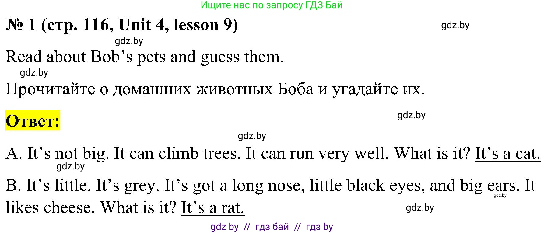 Английский язык (english), 4 класс Учебник (Student's book), авторы: Лапицкая Людмила Михайловна (Lapitskaya Ludmila), Седунова Наталья Михайловна (Sedunova Natalia), издательство Адукацыя i выхаванне, Минск, 2024, бирюзового цвета, Часть ( Part) 1, страница 116, номер 1, Решение 2