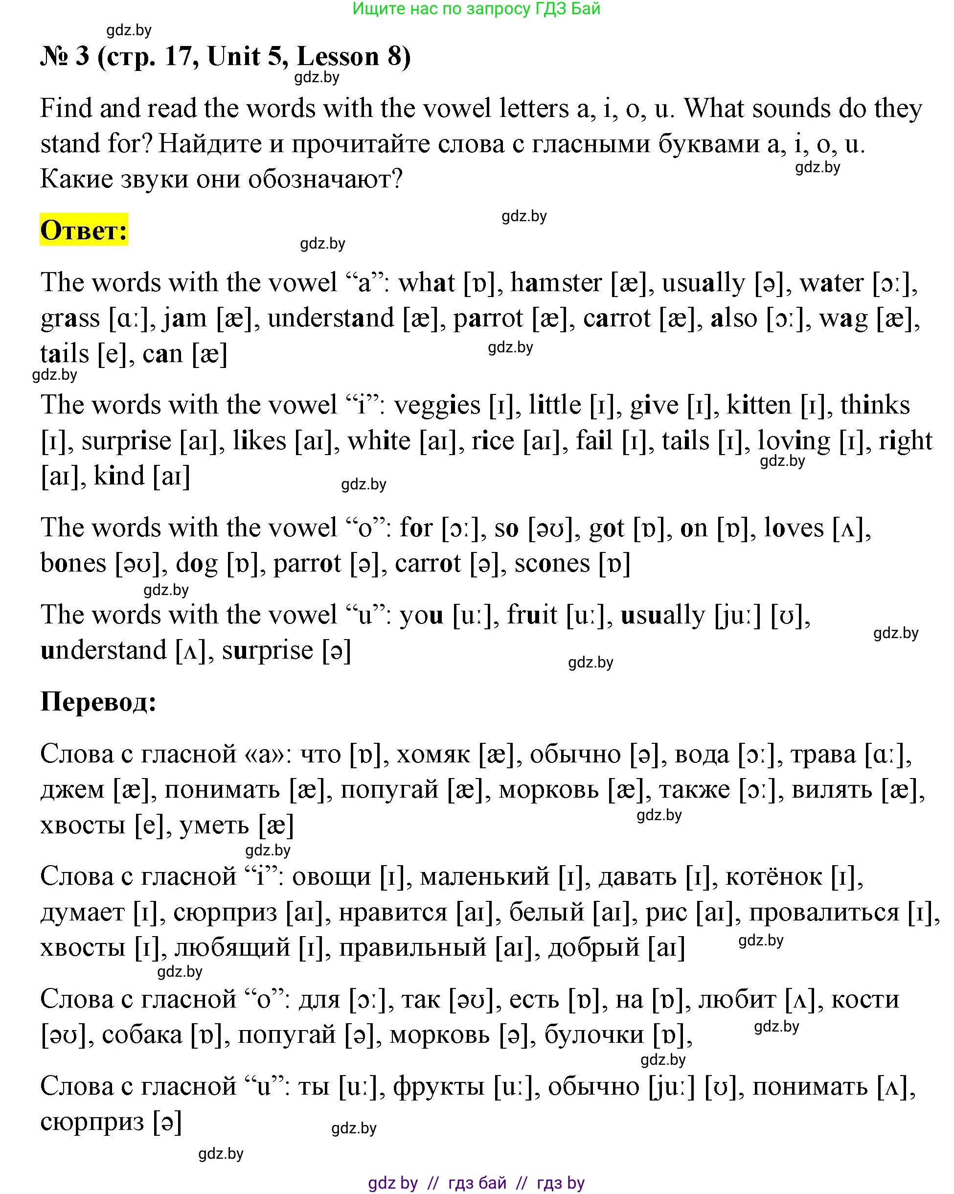 Английский язык (english), 4 класс Учебник (Student's book), авторы: Лапицкая Людмила Михайловна (Lapitskaya Ludmila), Седунова Наталья Михайловна (Sedunova Natalia), издательство Адукацыя i выхаванне, Минск, 2024, бирюзового цвета, Часть ( Part) 2, страница 17, номер 3, Решение 2
