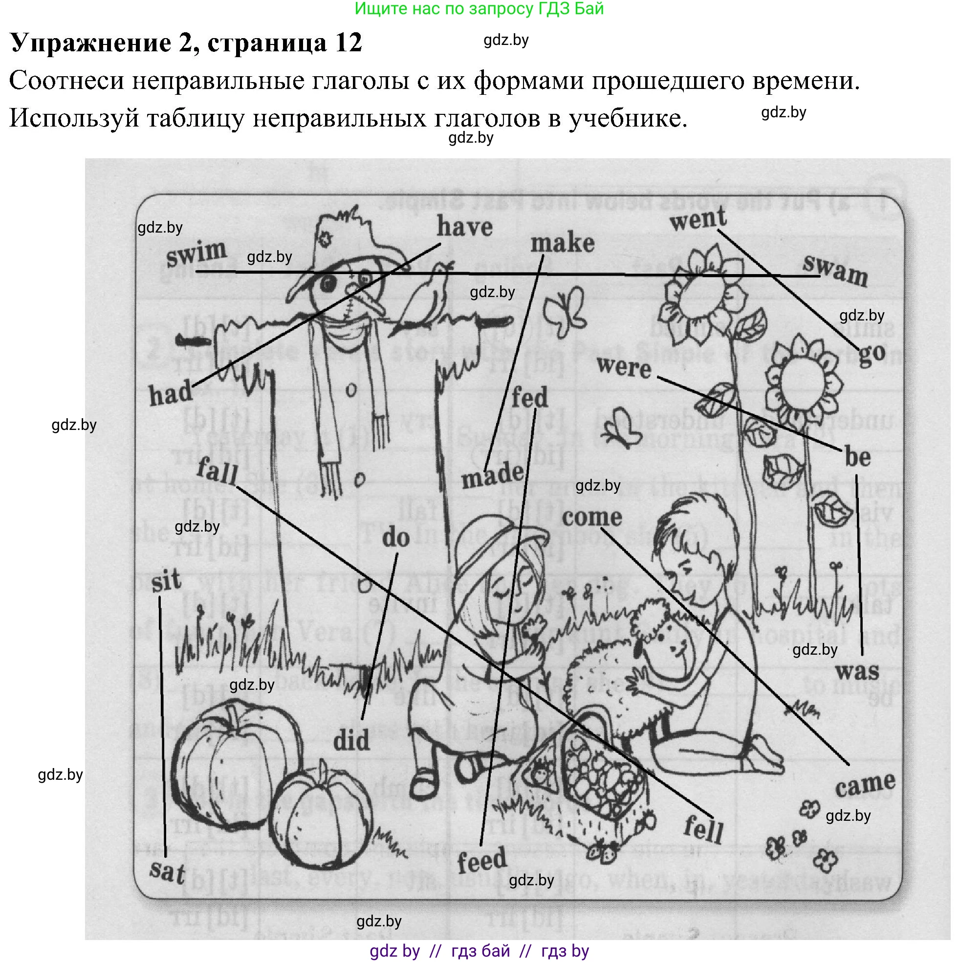Английский язык (english), 5 класс практикум (activity book ), авторы: Демченко Наталья Валентиновна, Севрюкова Татьяна Юрьевна, Наумова Елена Георгиевна, Лапицкая Людмила Михайловна (Lapitskaya Ludmila), Юхнель Наталья Валентиновна, издательство Аверсэв, Минск, 2019, зелёного цвета, Часть 1, страница 12, номер 2, Решение 1