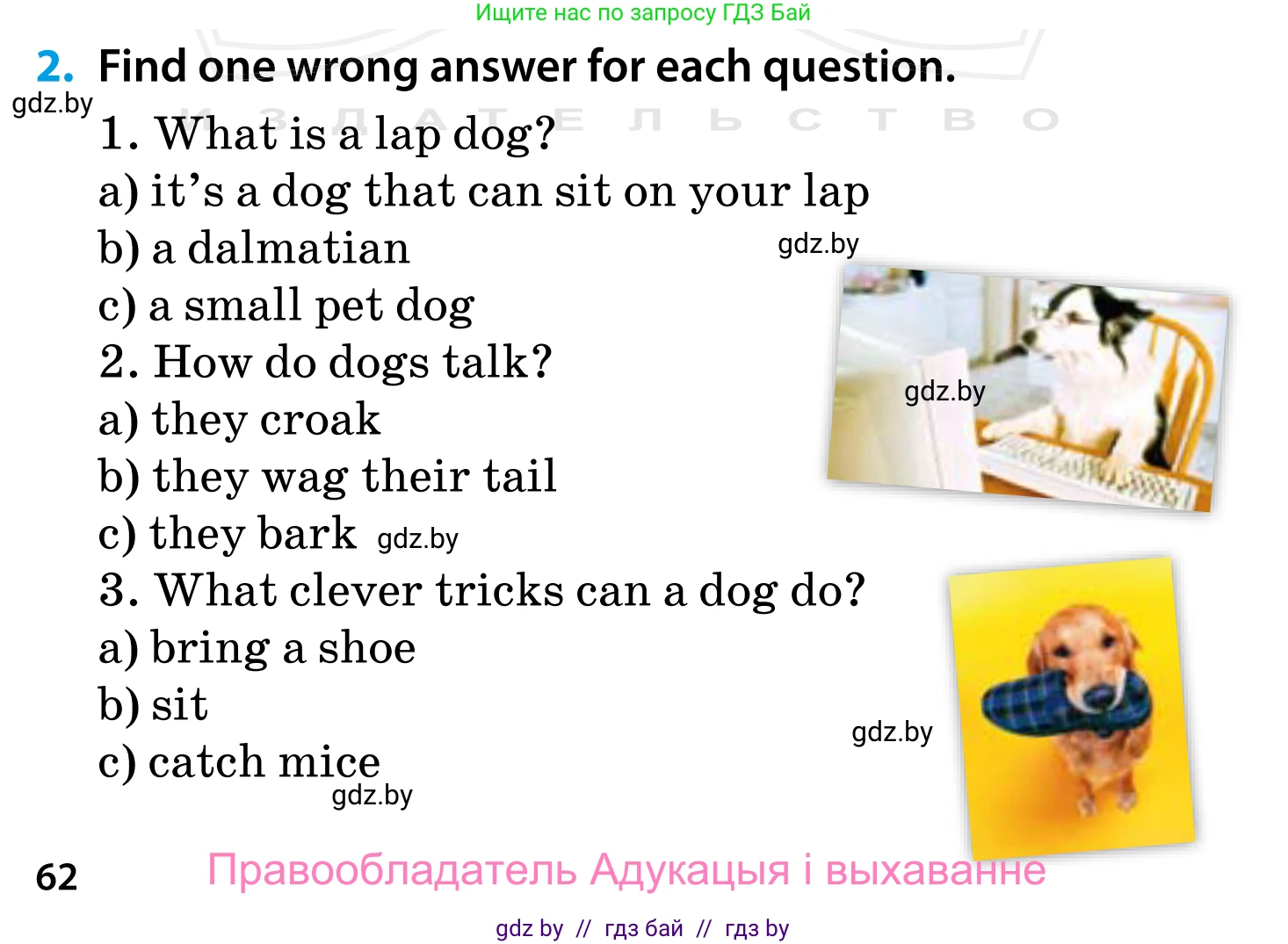 Английский язык (english), 5 класс Учебник, авторы: Демченко Наталья Валентиновна, Севрюкова Татьяна Юрьевна, Наумова Елена Георгиевна, Юхнель Наталья Валентиновна, Лапицкая Людмила Михайловна (Lapitskaya Ludmila), издательство Адукацыя i выхаванне, Минск, 2017, Часть ( Part) 1, страница 62, номер 2, Условие