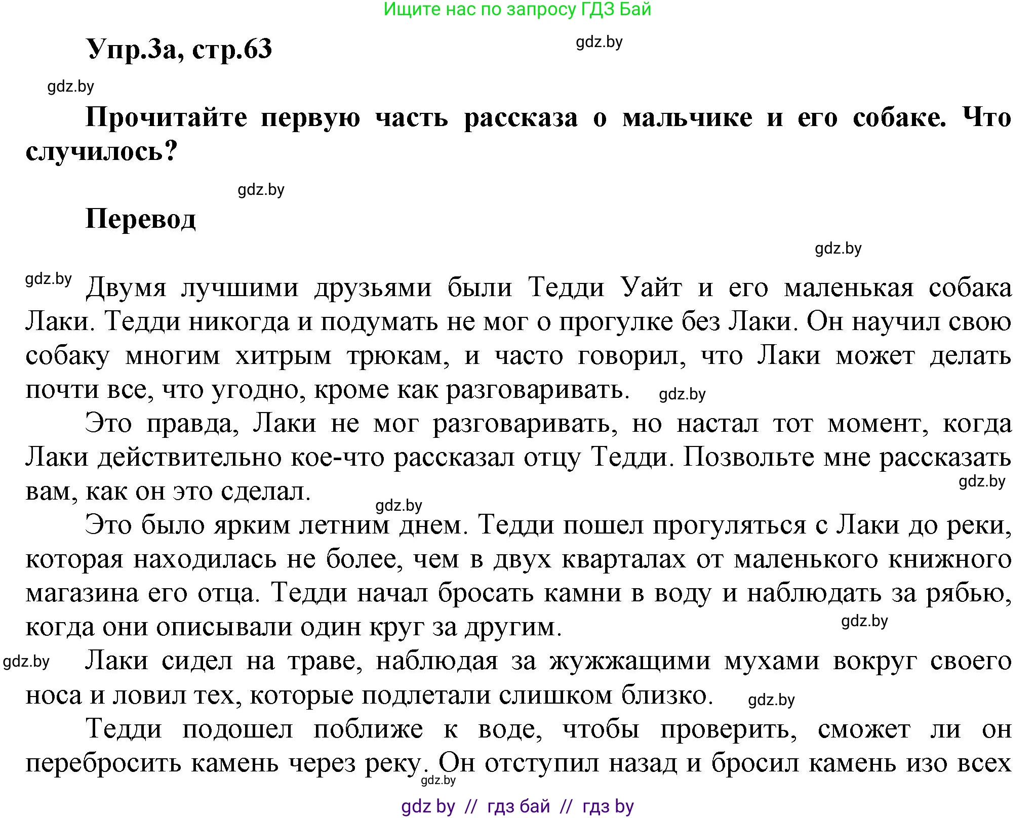 Английский язык (english), 5 класс Учебник, авторы: Демченко Наталья Валентиновна, Севрюкова Татьяна Юрьевна, Наумова Елена Георгиевна, Юхнель Наталья Валентиновна, Лапицкая Людмила Михайловна (Lapitskaya Ludmila), издательство Адукацыя i выхаванне, Минск, 2017, Часть ( Part) 1, страница 63, номер 3, Решение 1