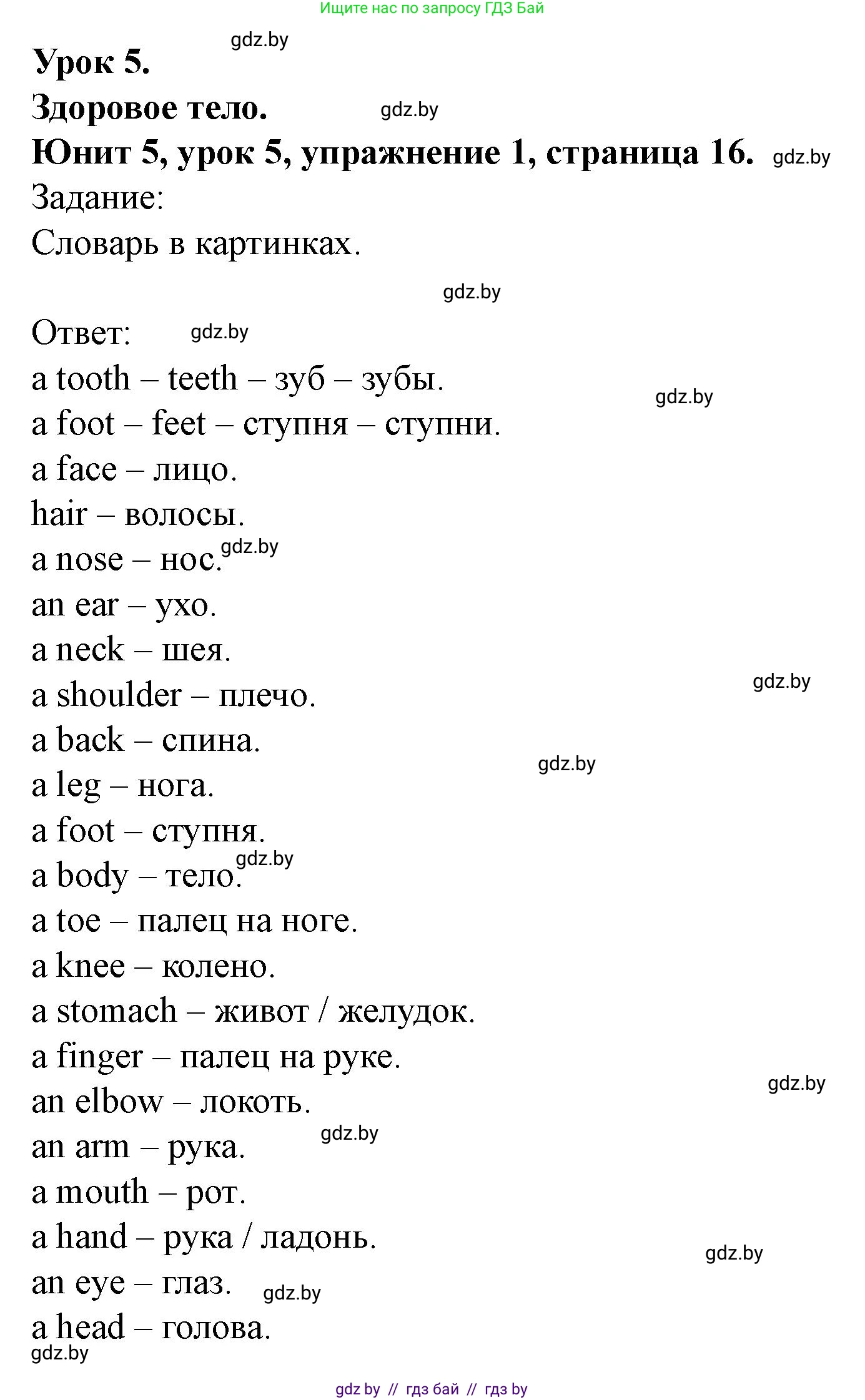Английский язык (english), 5 класс Учебник (Student's book), авторы: Лапицкая Людмила Михайловна (Lapitskaya Ludmila), Калишевич Алла Ивановна, Севрюкова Татьяна Юрьевна, Седунова Наталья Михайловна (Sedunova Natalia), издательство Вышэйшая школа, Минск, 2020, Часть 2, страница 16, номер 1, Решение 1