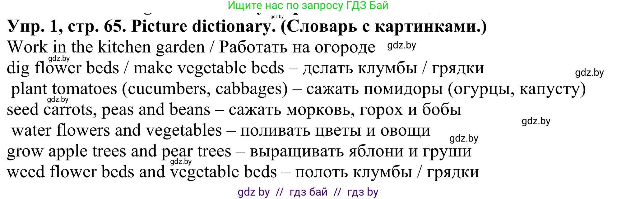 Английский язык (english), 5 класс Учебник (Student's book), авторы: Лапицкая Людмила Михайловна (Lapitskaya Ludmila), Калишевич Алла Ивановна, Севрюкова Татьяна Юрьевна, Седунова Наталья Михайловна (Sedunova Natalia), издательство Вышэйшая школа, Минск, 2020, Часть 2, страница 65, номер 1, Решение 2