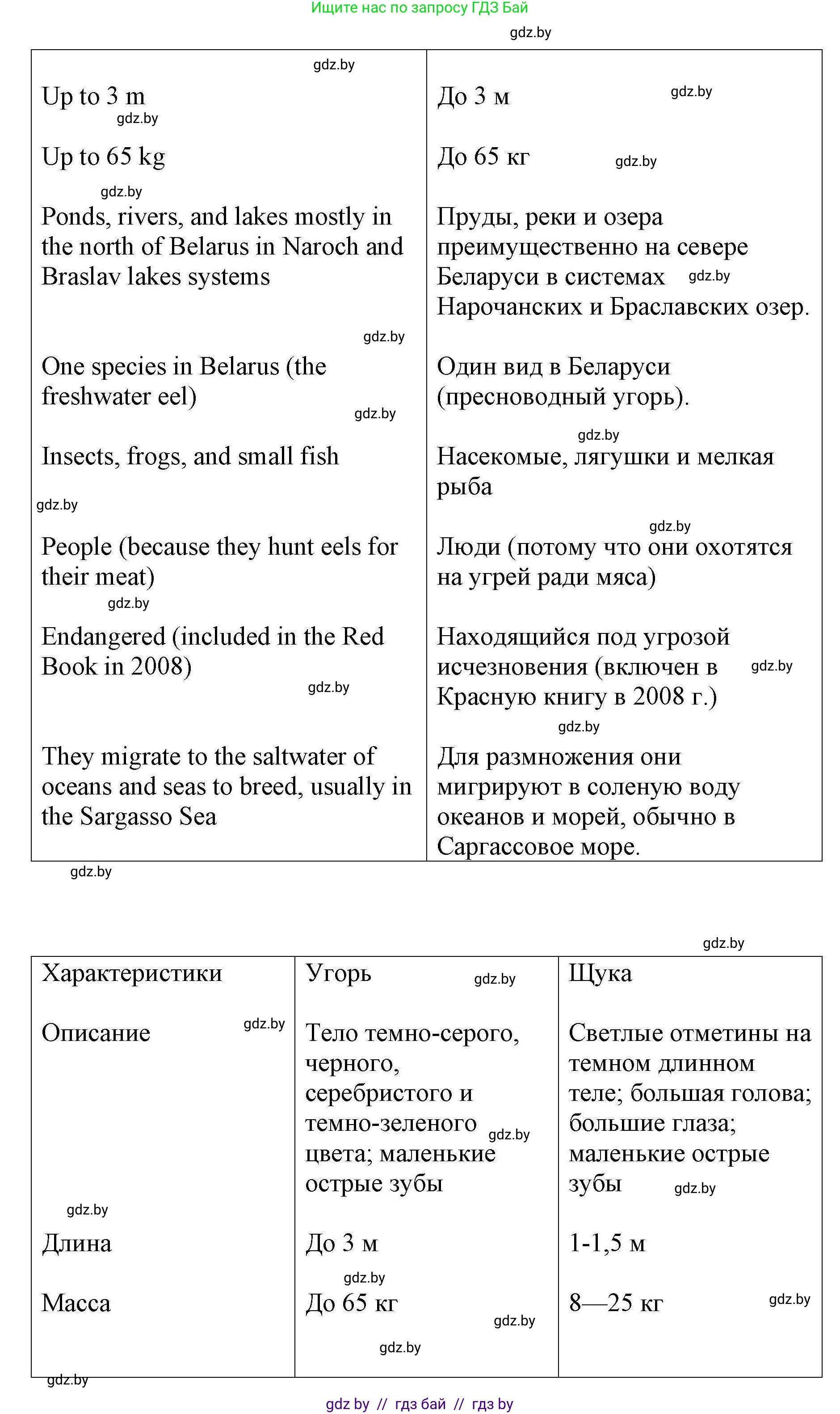 Английский язык (english), 6 класс Рабочая тетрадь (workbook), авторы: Демченко Наталья Валентиновна, Севрюкова Татьяна Юрьевна, Юхнель Наталья Валентиновна, Наумова Елена Георгиевна, Рыбалко О Н, Манешина А В, Маслёнченко Н А, Бушуева Эдите Владиславовна, издательство Аверсэв, Минск, 2020, зелёного цвета, Часть ( Part) 2, страница 31, номер 3, Решение 1 (продолжение 2)