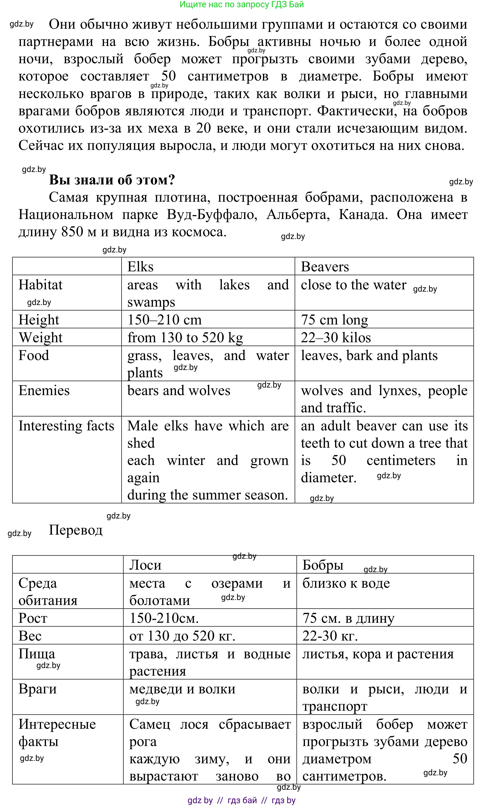 Английский язык (english), 6 класс Учебник, авторы: Демченко Наталья Валентиновна, Севрюкова Татьяна Юрьевна, Юхнель Наталья Валентиновна, Наумова Елена Георгиевна, Рыбалко О Н, Манешина А В, Маслёнченко Н А, издательство Вышэйшая школа, Минск, 2018, красного цвета, Часть 2, страница 56, номер 4, Решение (продолжение 2)