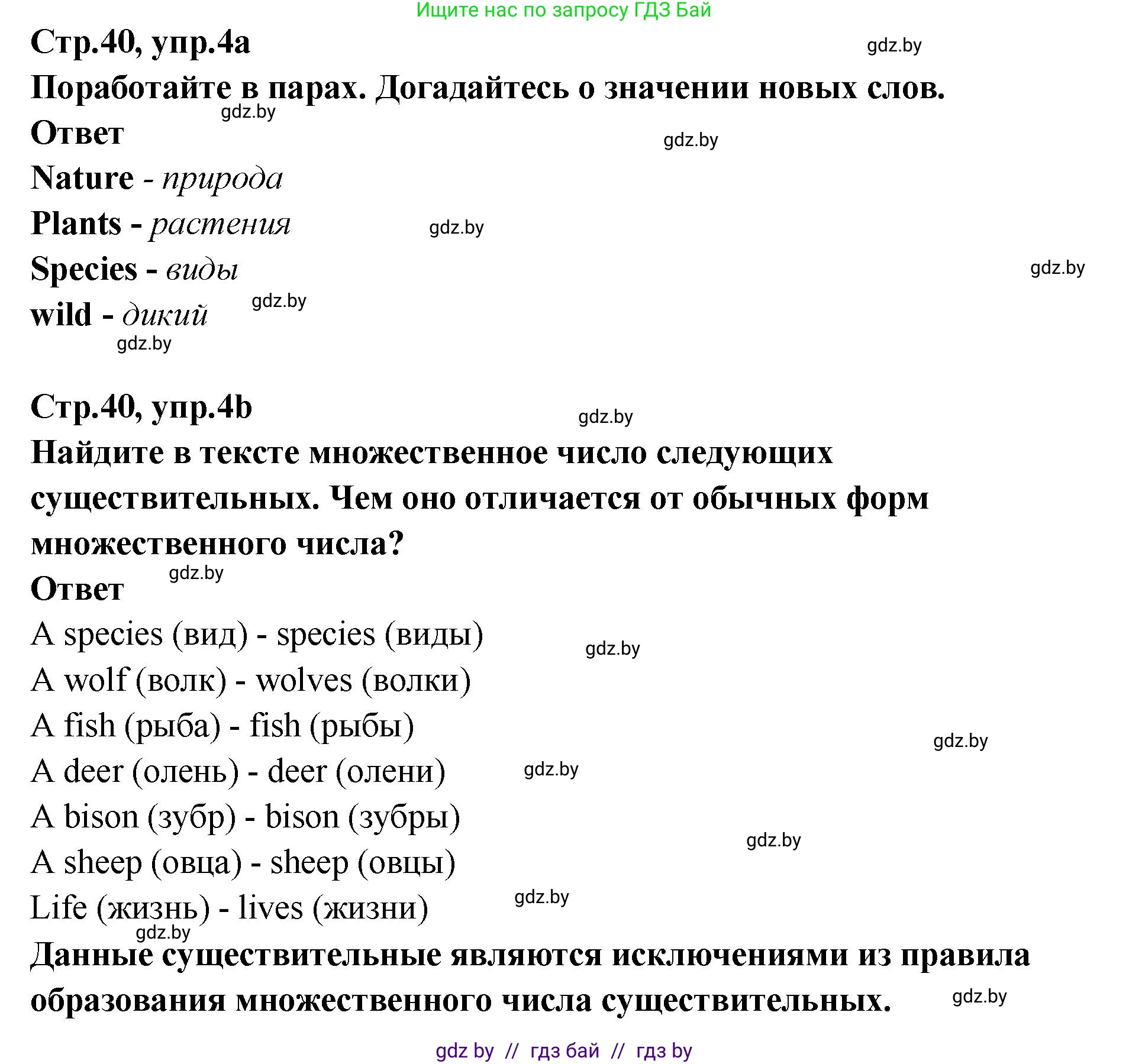 Английский язык (english), 6 класс Учебник, авторы: Юхнель Наталья Валентиновна, Наумова Елена Георгиевна, Малиновская Елена Александровна, издательство Адукацыя i выхаванне, Минск, 2021, страница 40, номер 4, Решение